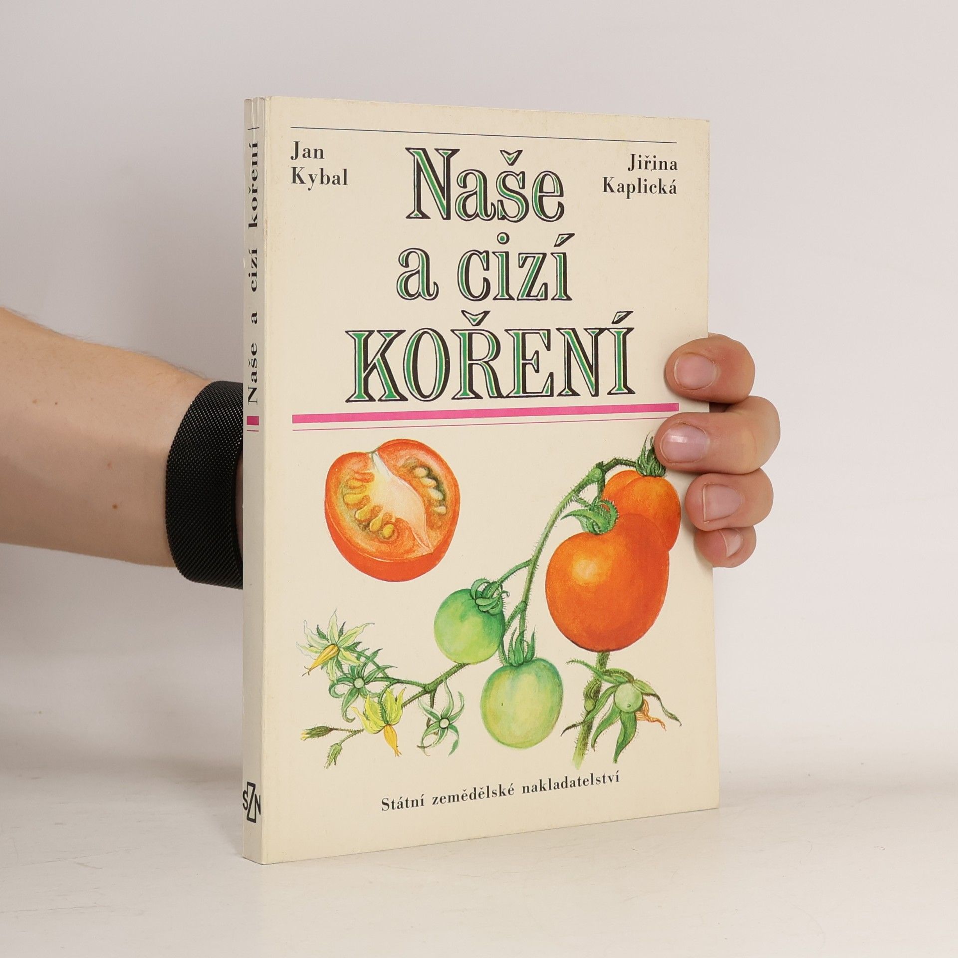 Naše a cizí koření