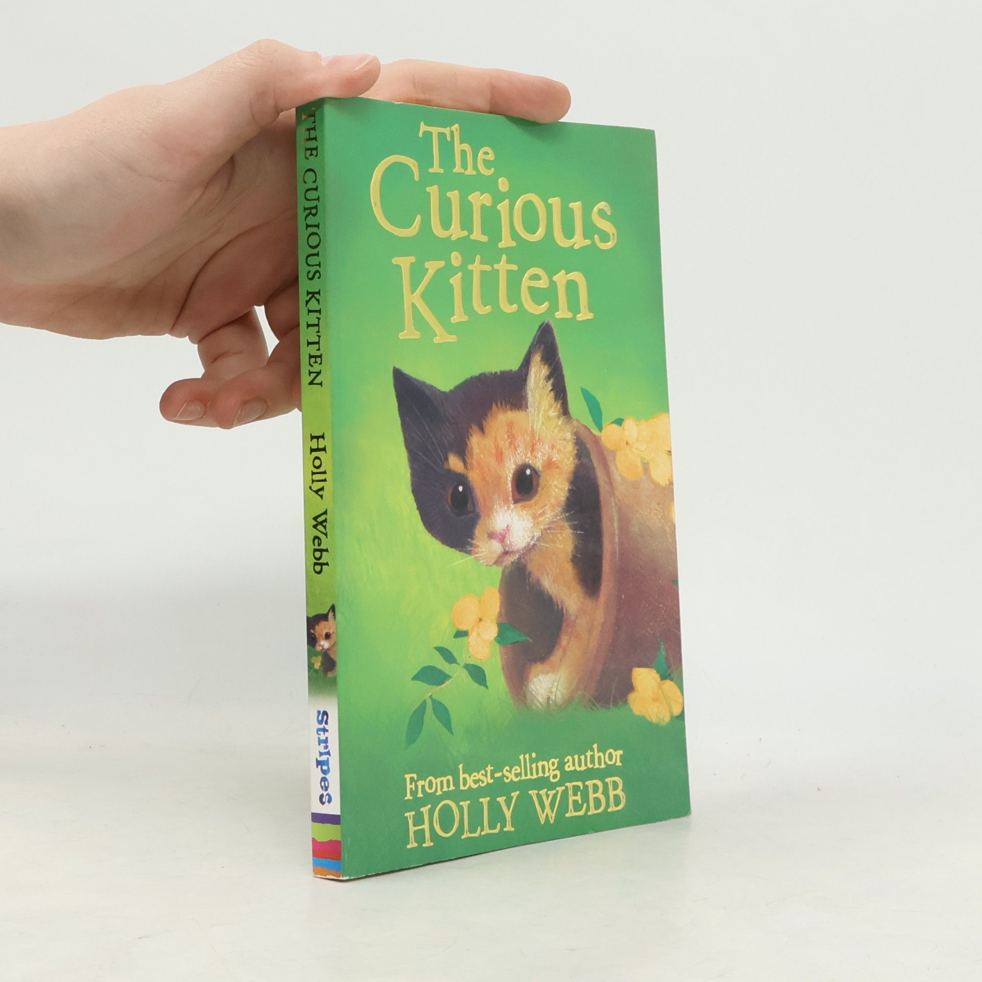 Holly Webb The Curious Kitten