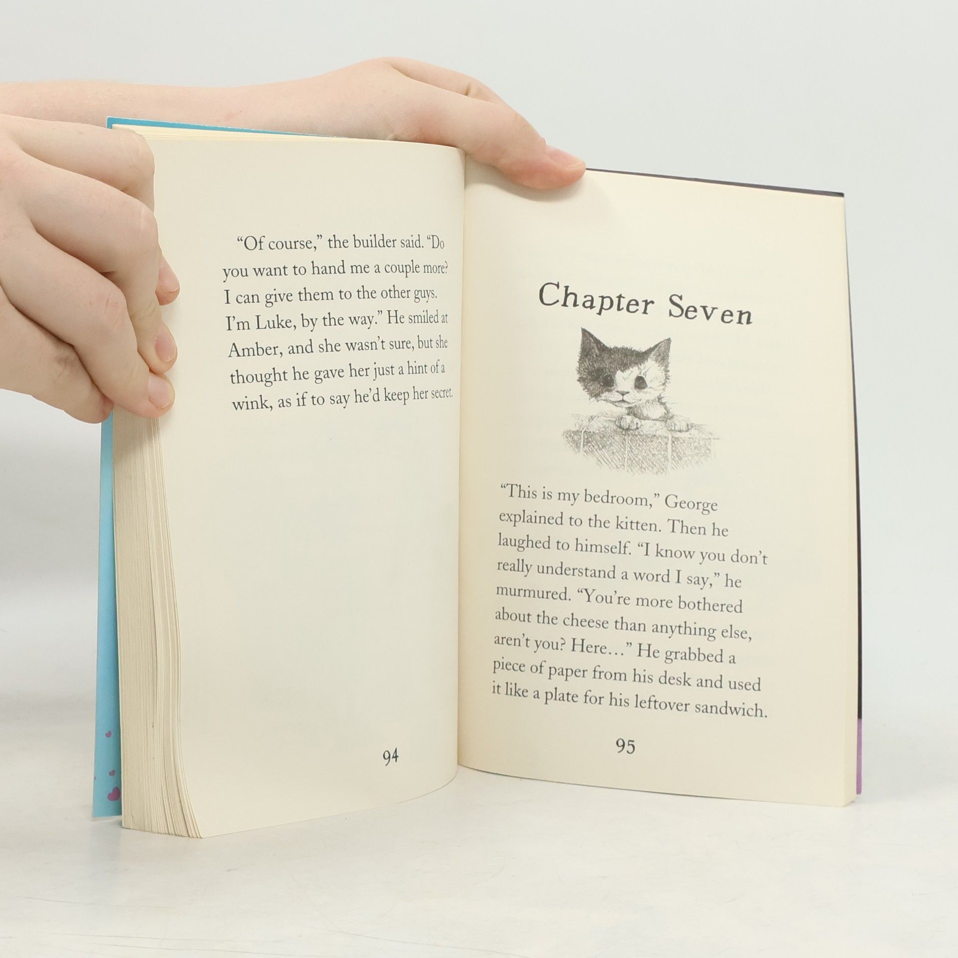 Holly Webb The Curious Kitten