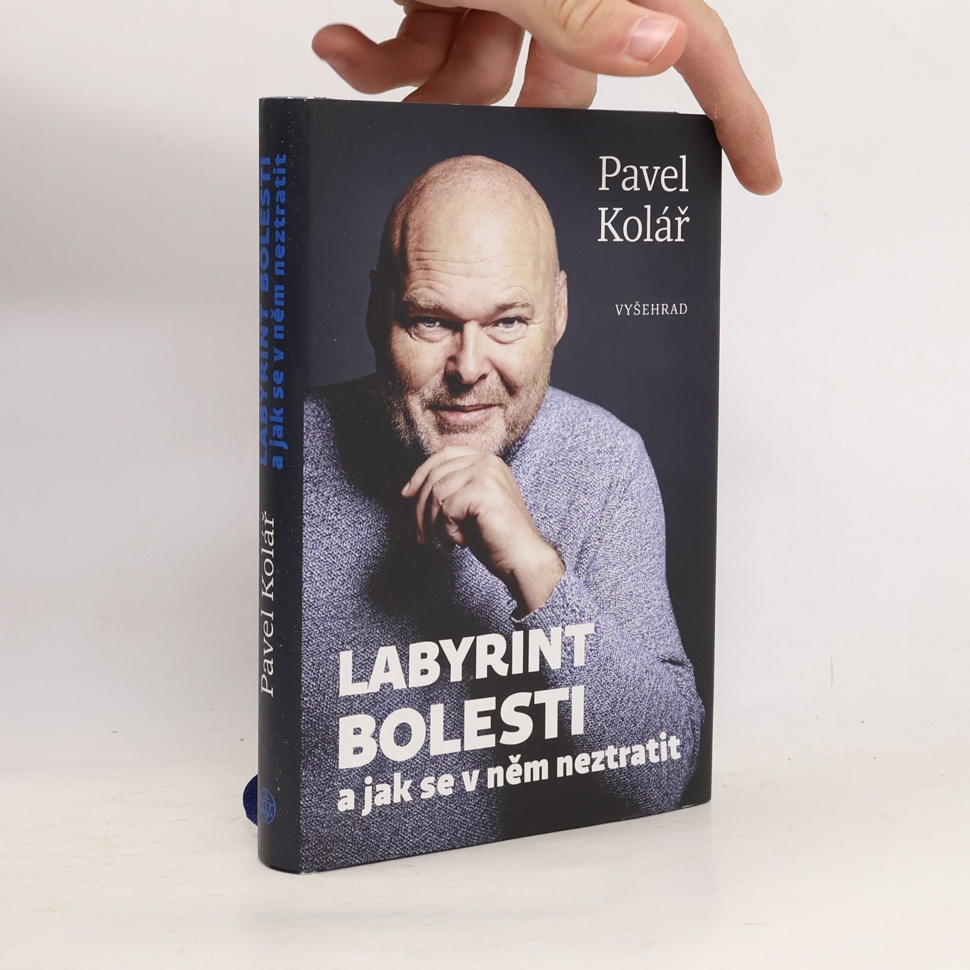 Pavel Kolář Labyrint bolesti a jak se v něm neztratit