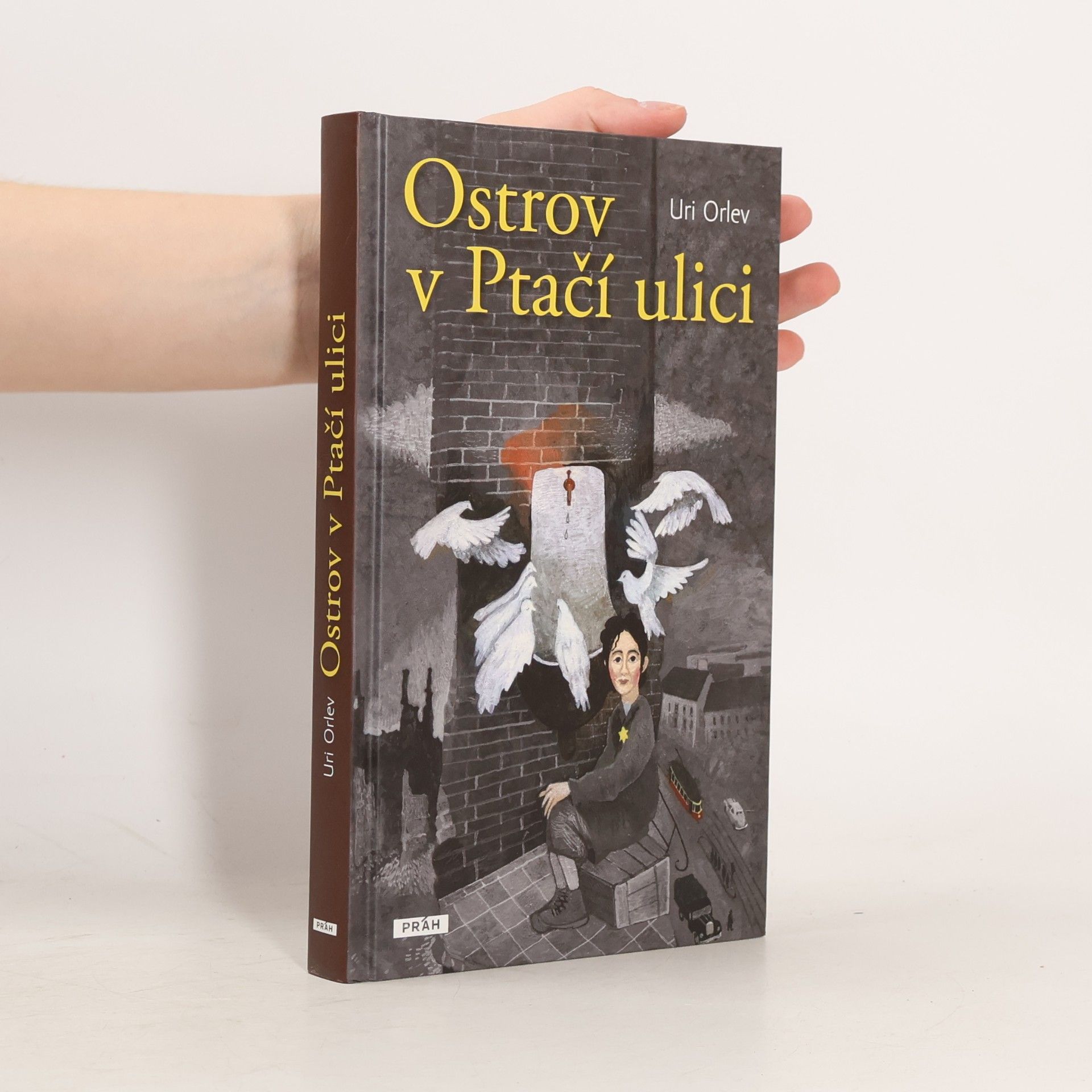 Uri Orlev Ostrov v Ptačí ulici
