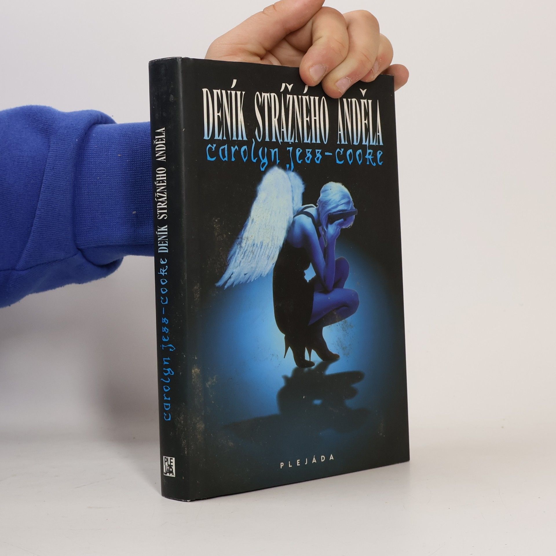 Deník strážného anděla