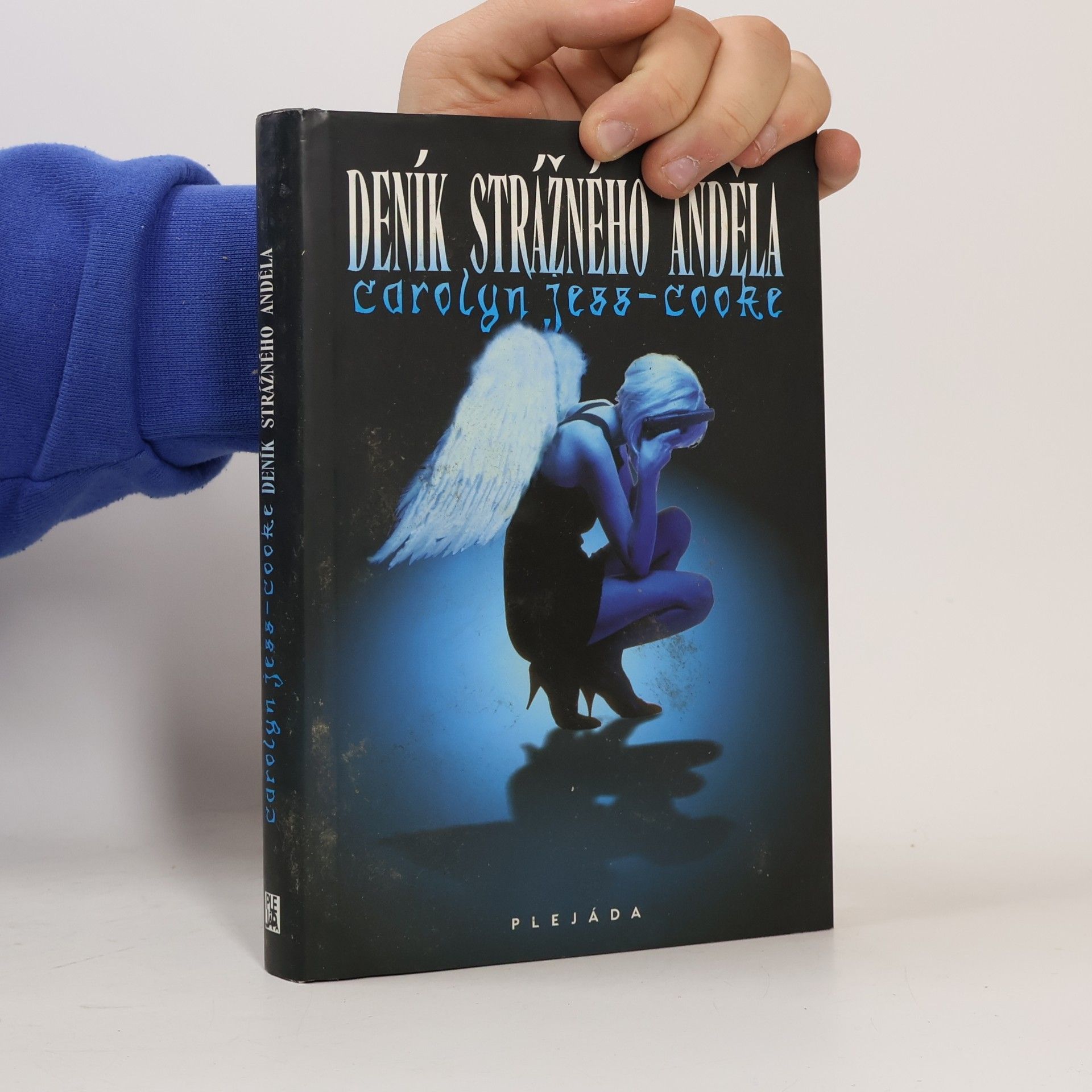 Carolyn Jess Cooke Deník strážného anděla