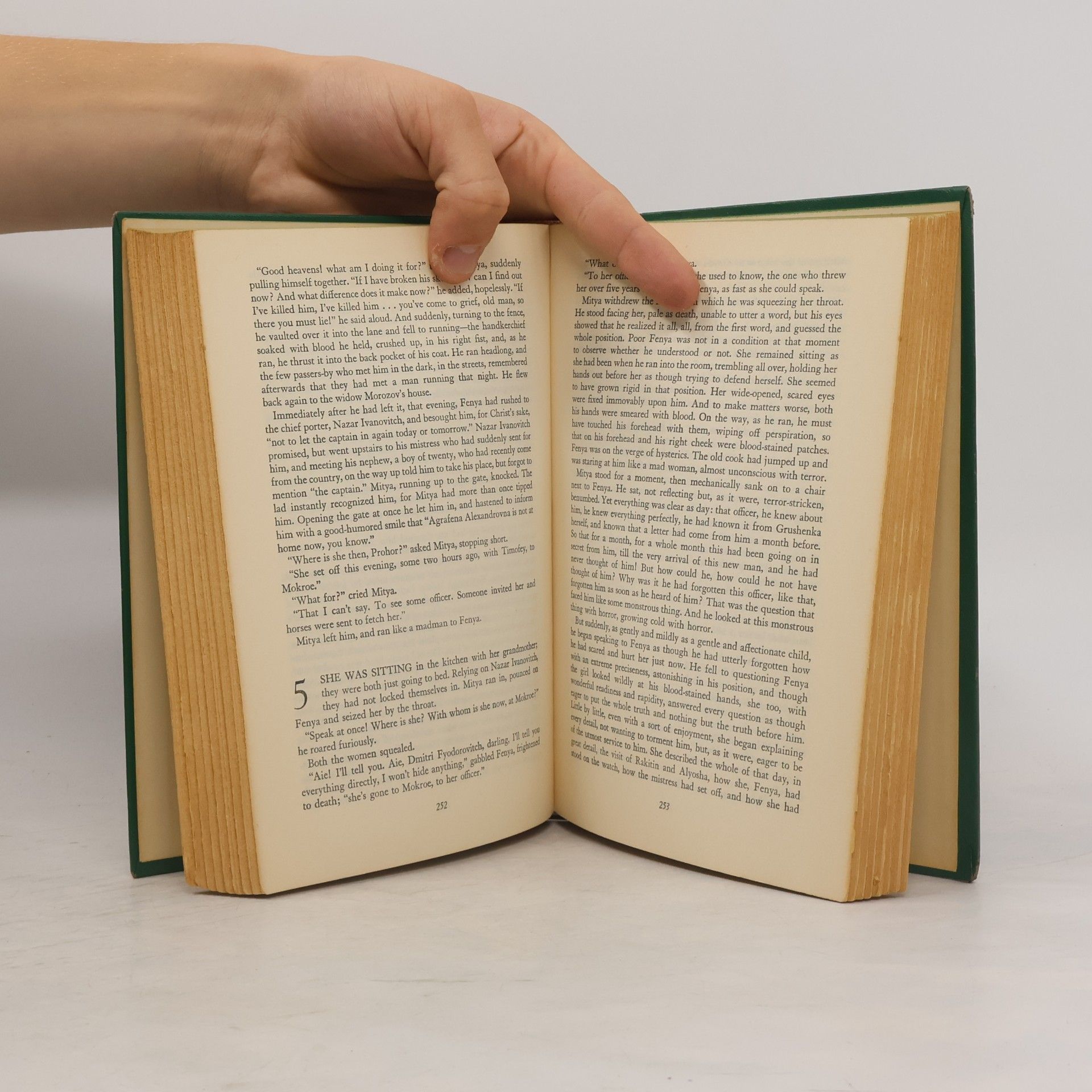 Fjodor Michailowitsch Dostojewski The Brothers Karamazov