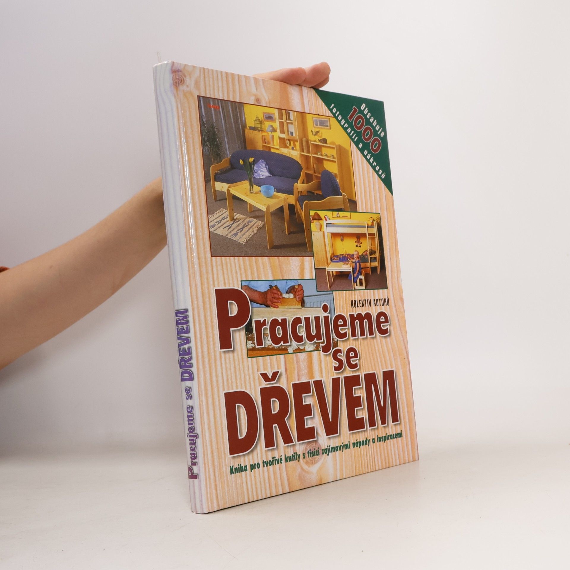 AA.VV. Pracujeme se dřevem