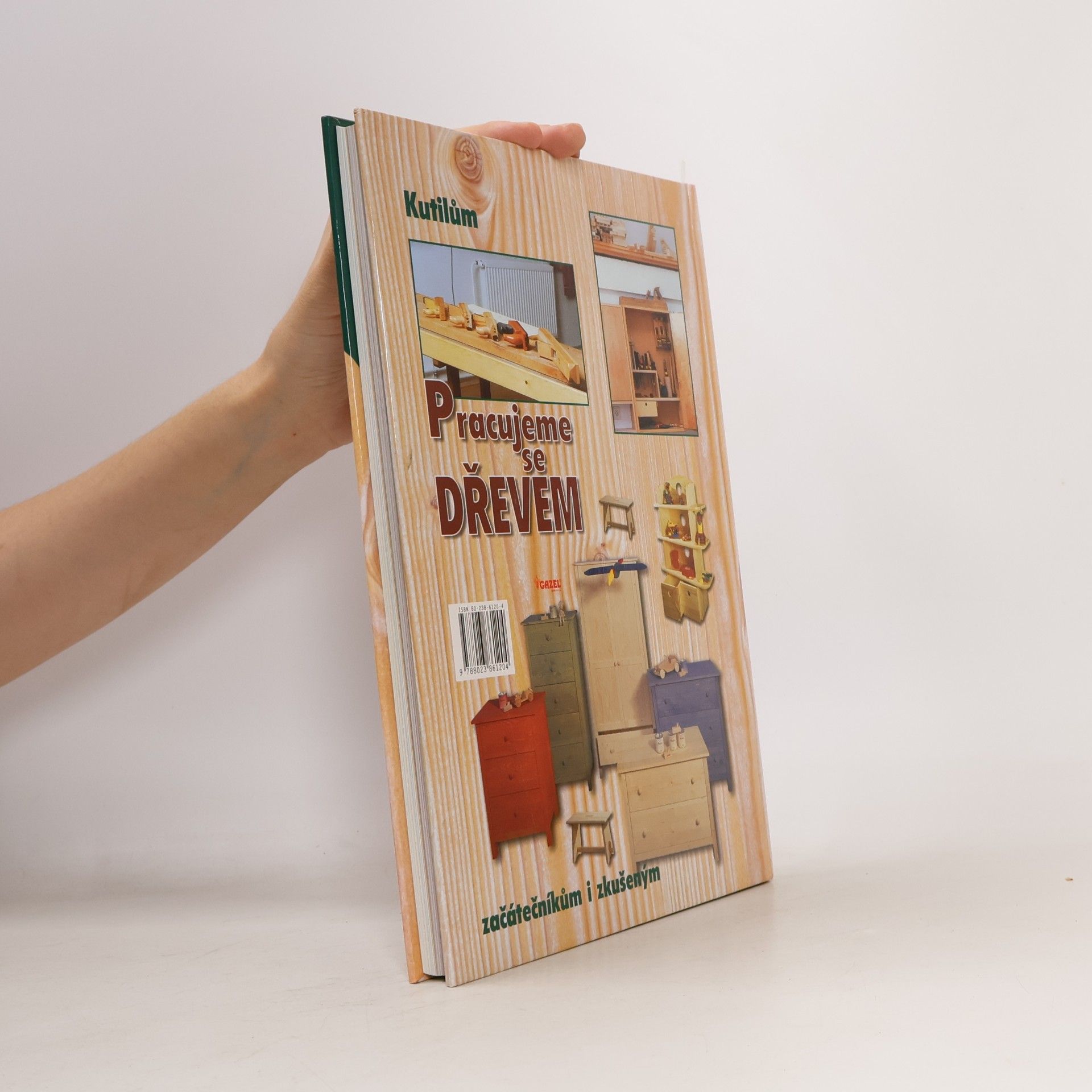 Various authors Pracujeme se dřevem
