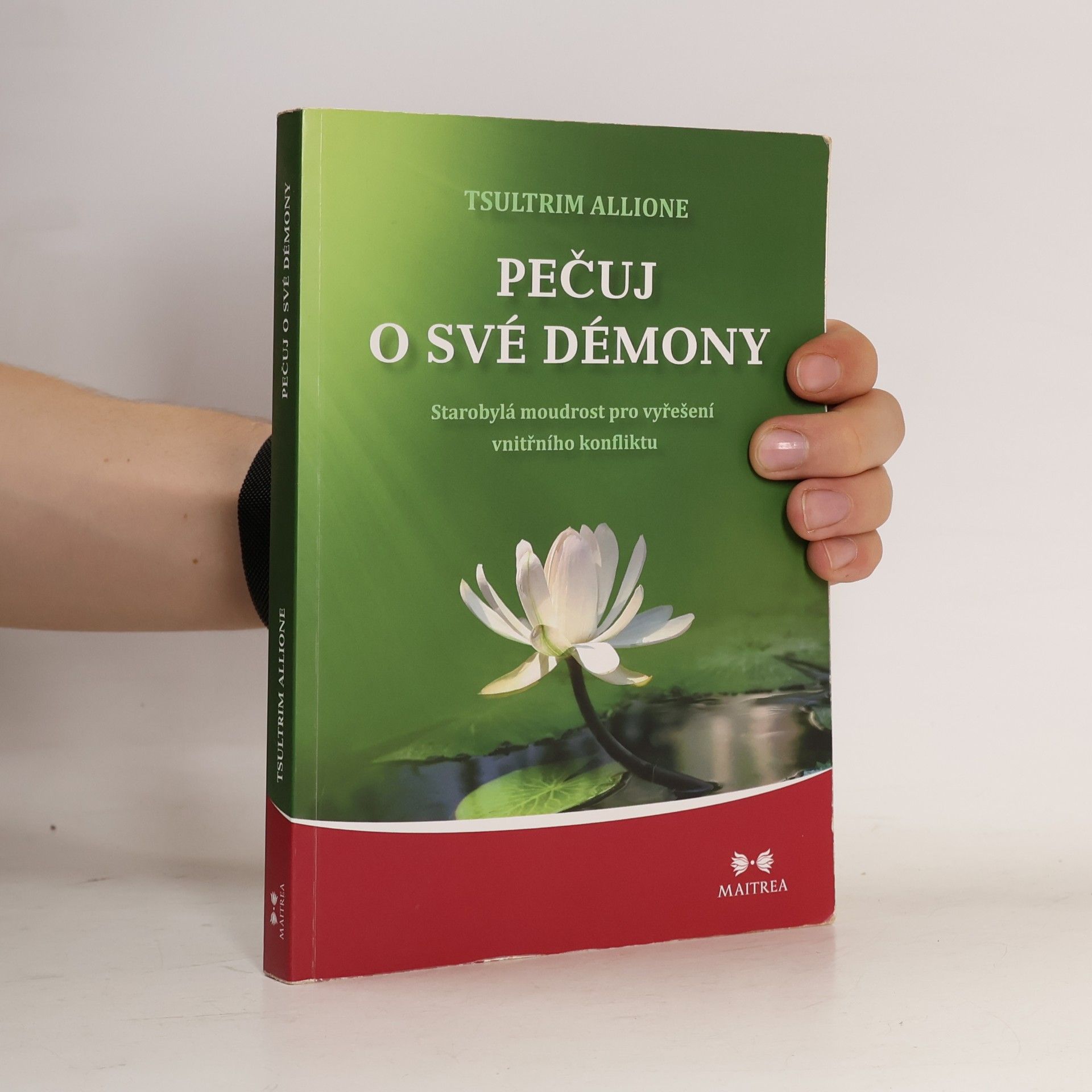 Tsultrim Allione Pečuj o své démony. Starobylá moudrost pro vyřešení vnitřního konfliktu
