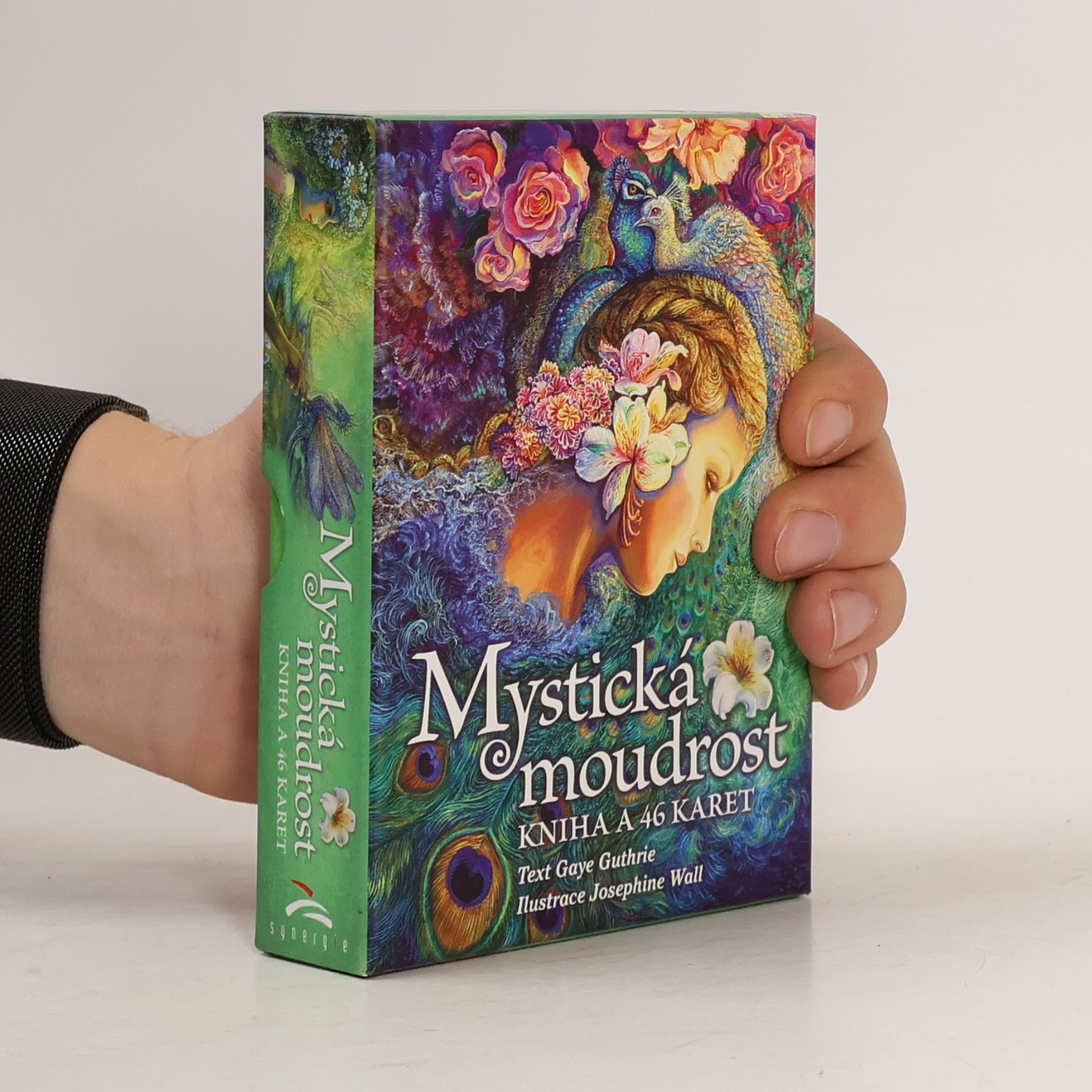 Kateřina Česalová Mystická moudrost: kniha a 46 karet