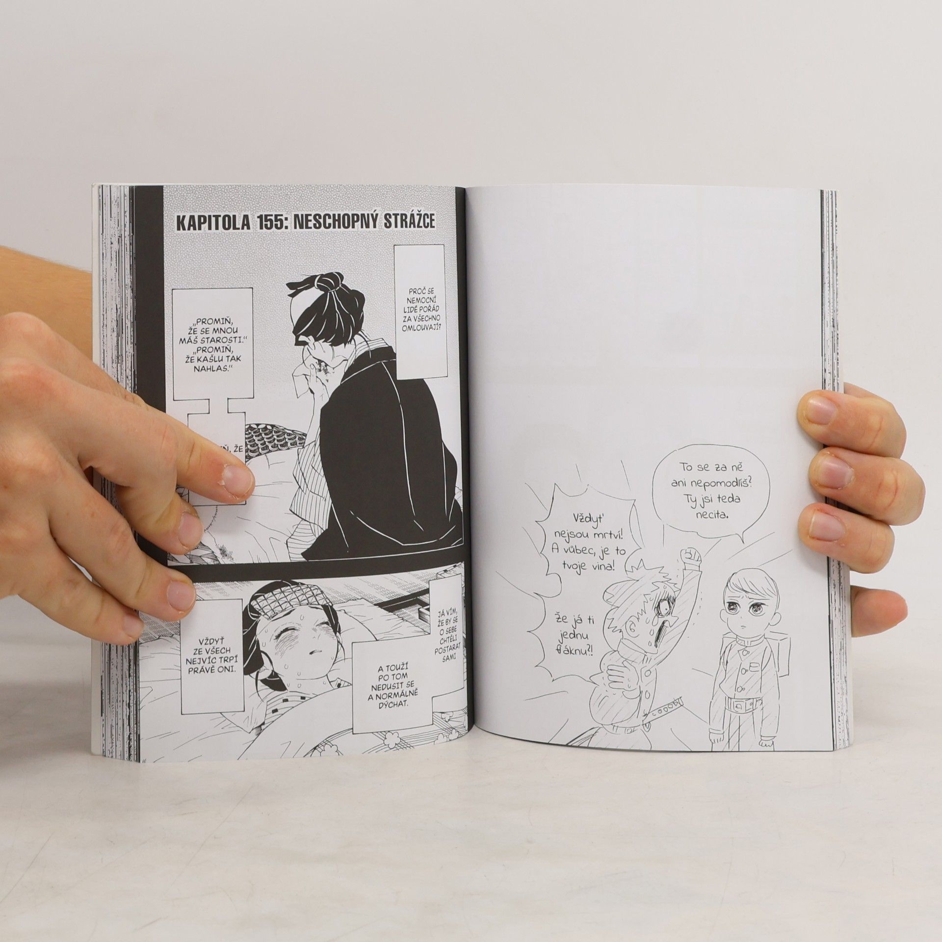 Koyoharu Gotōge Zabiják démonů 18 - Příval nostalgie
