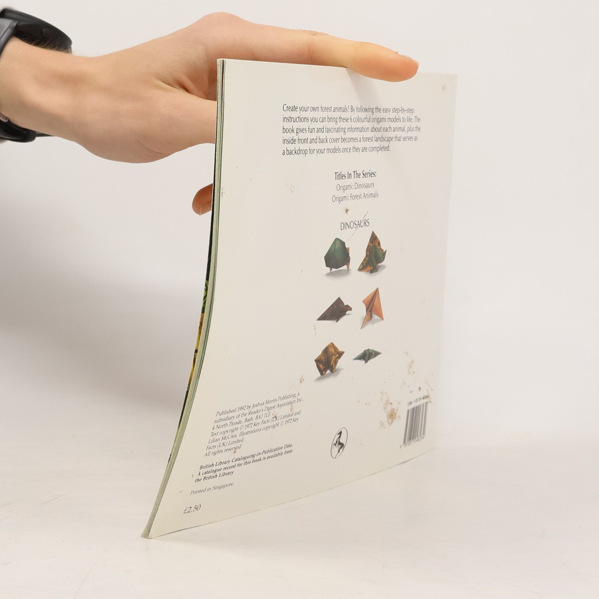 David Roberts Origami: Forest Animals