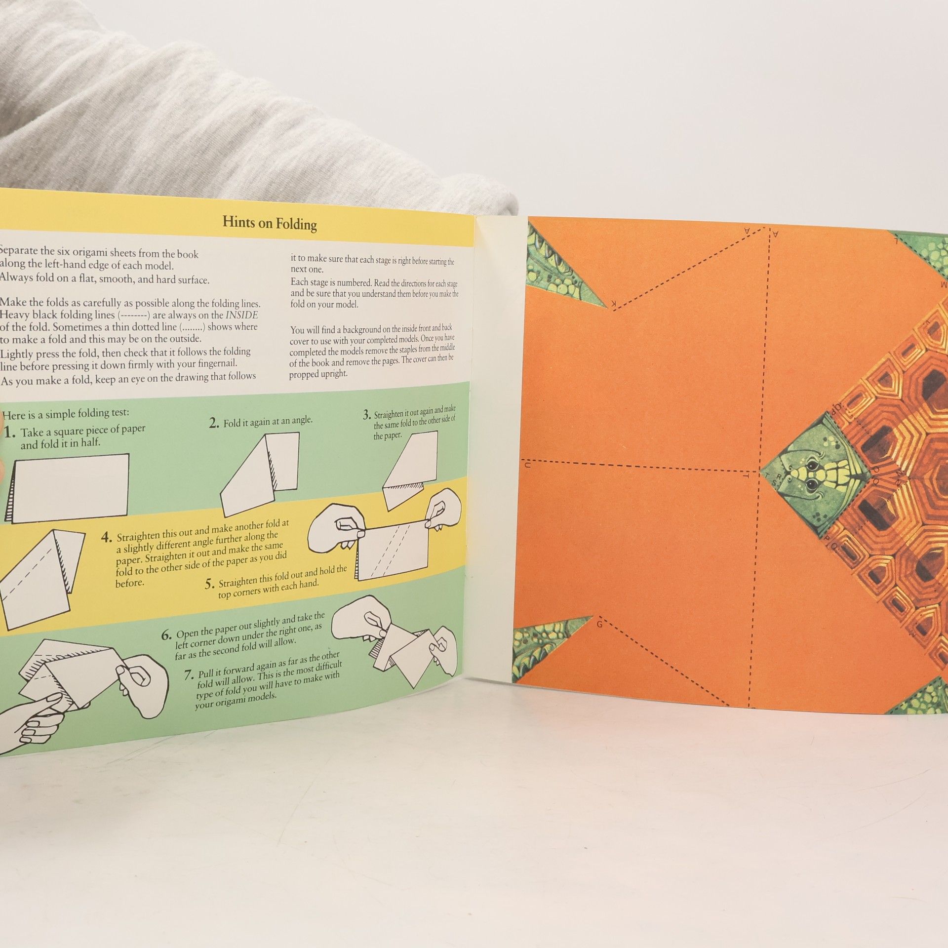 David Roberts Origami: Forest Animals