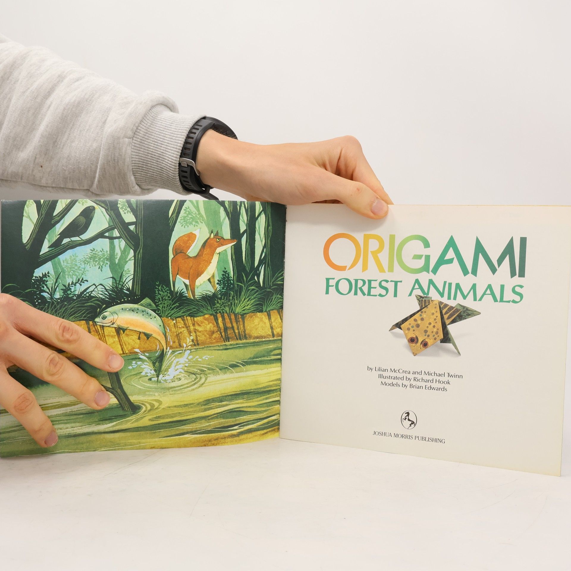 David Roberts Origami: Forest Animals