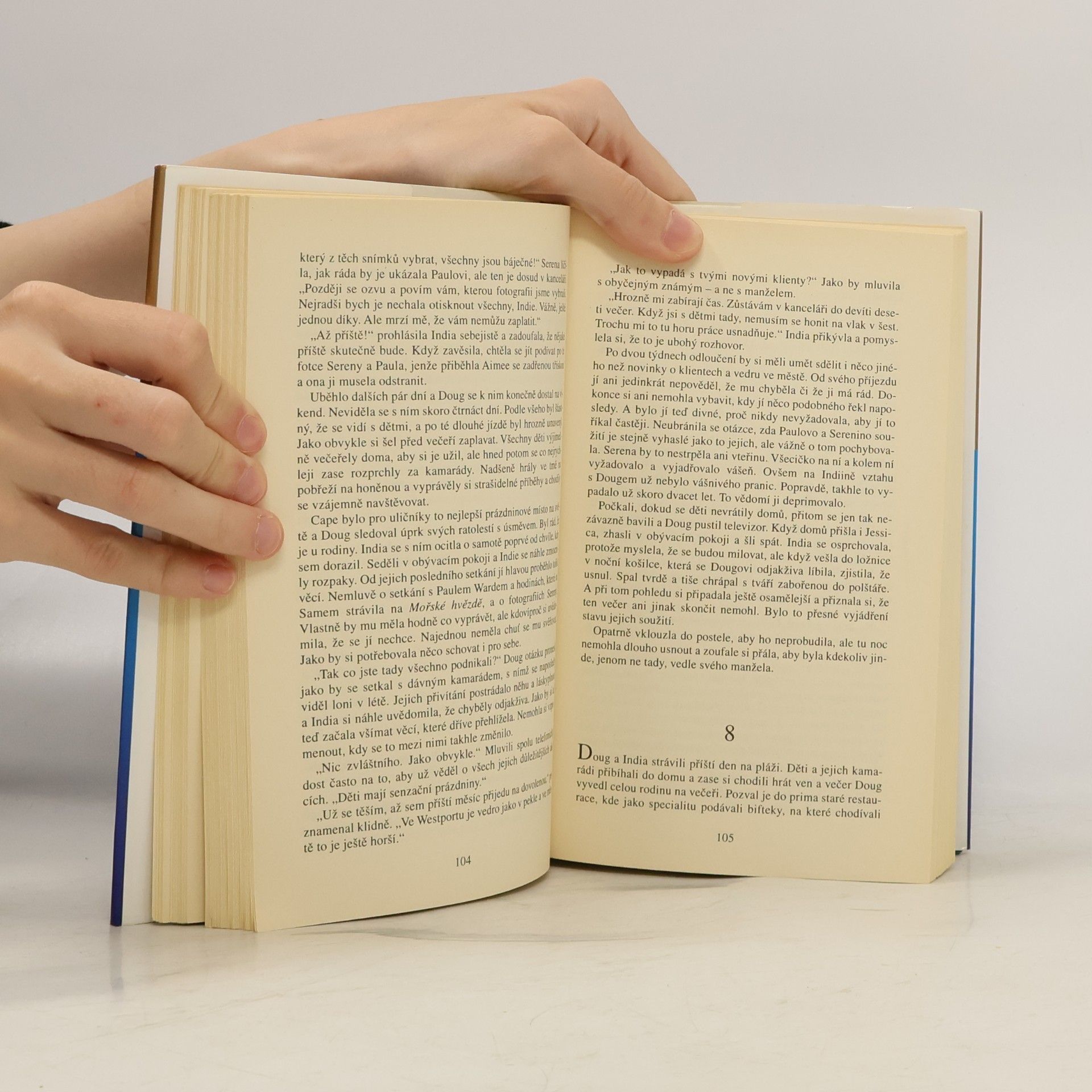 Danielle Steel Hořkost lásky