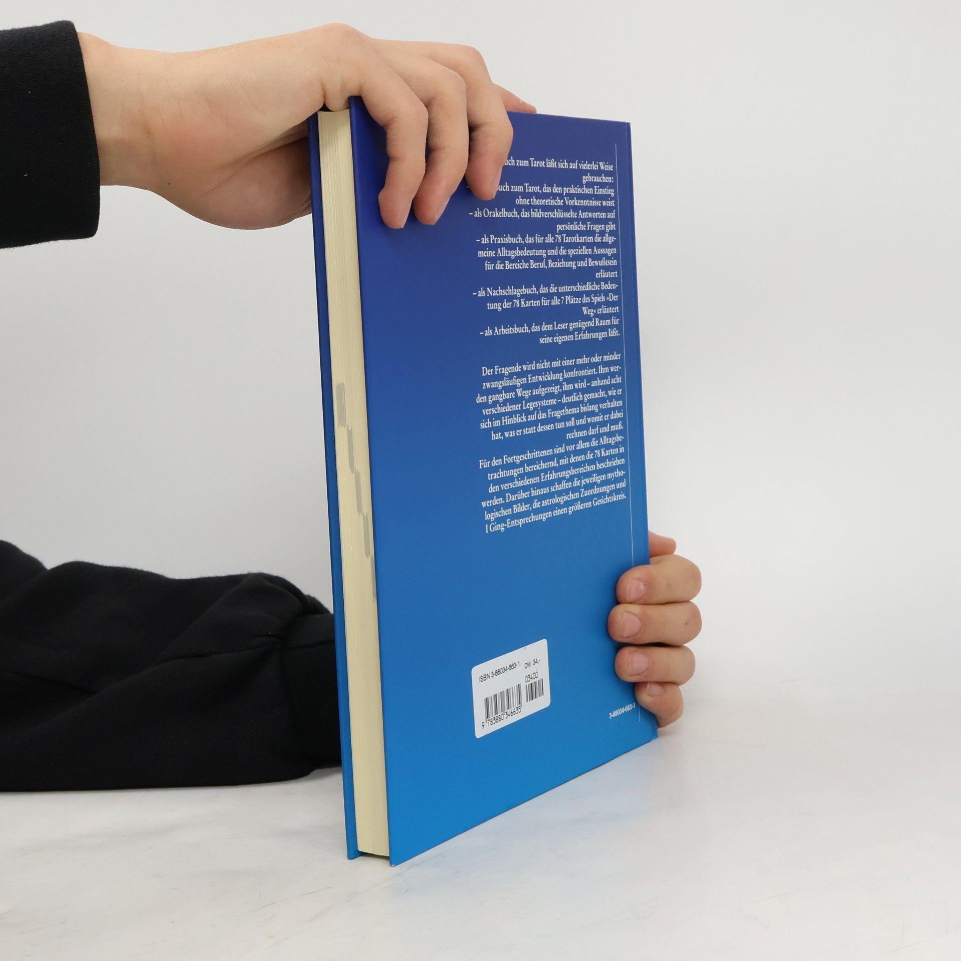 Hajo Banzhaf Das Arbeitsbuch zum Tarot