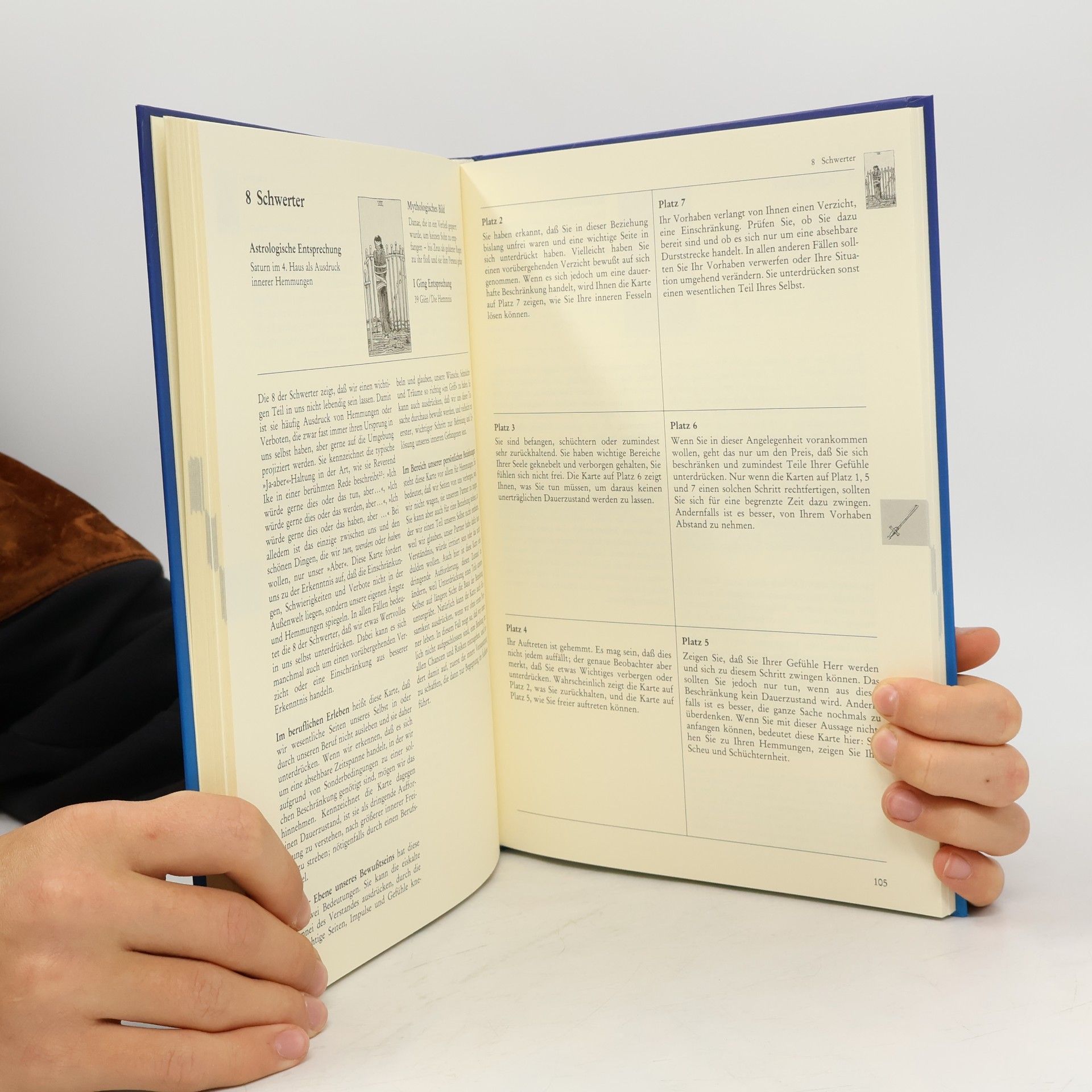 Hajo Banzhaf Das Arbeitsbuch zum Tarot