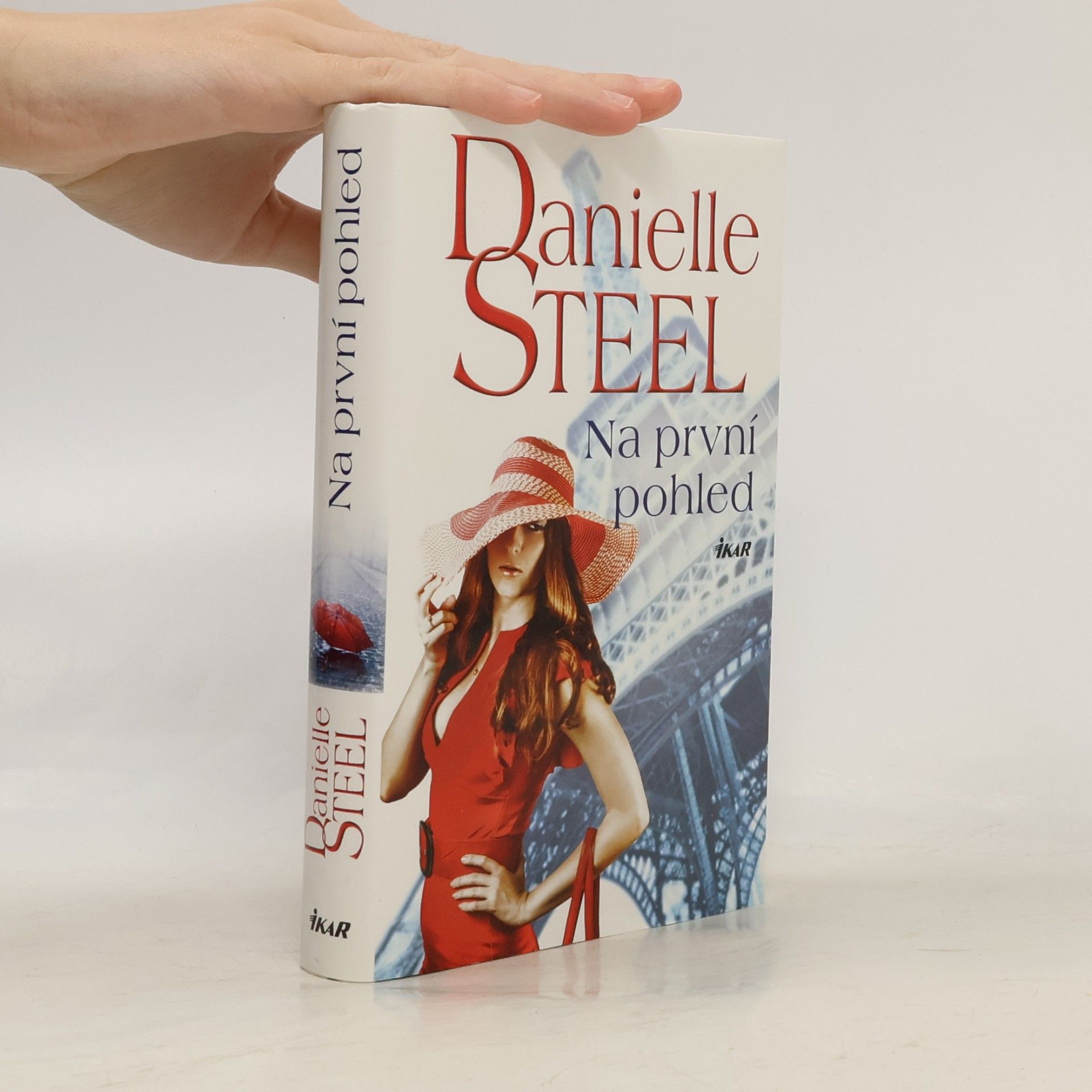 Danielle Steel Na první pohled