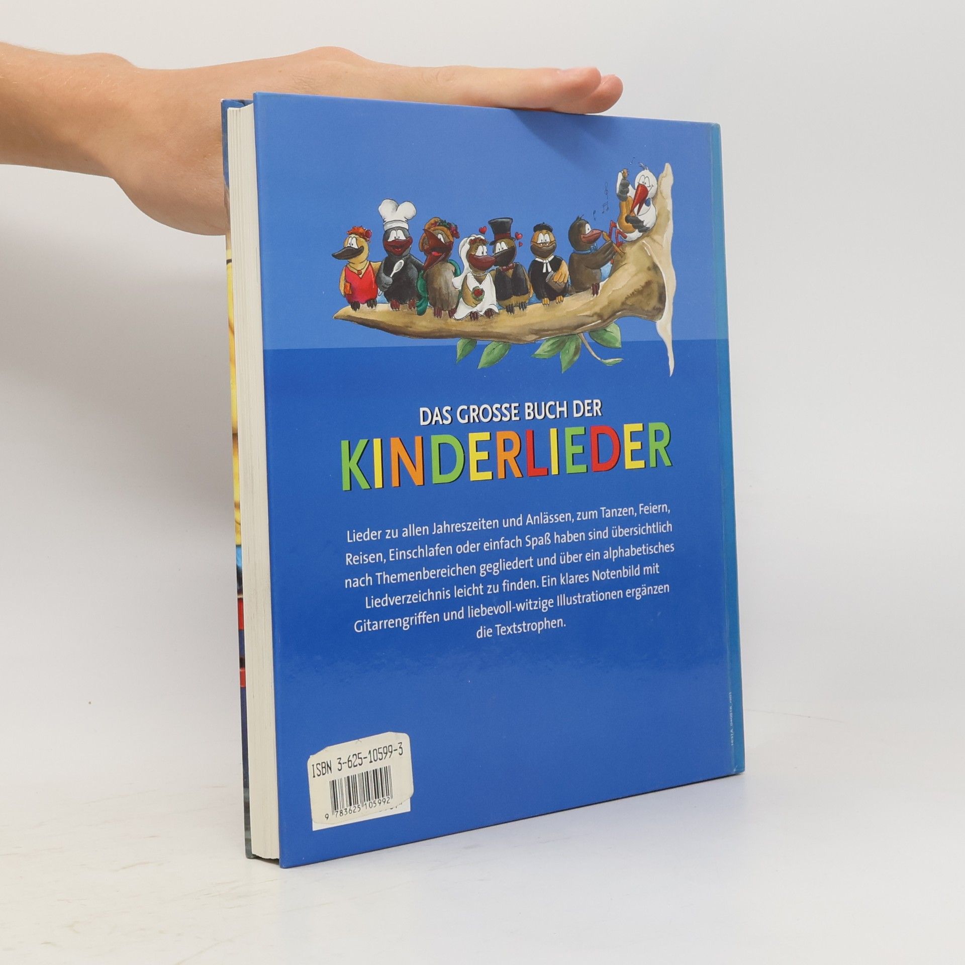 Siegmund Helms Das grosse Buch der Kinderlieder