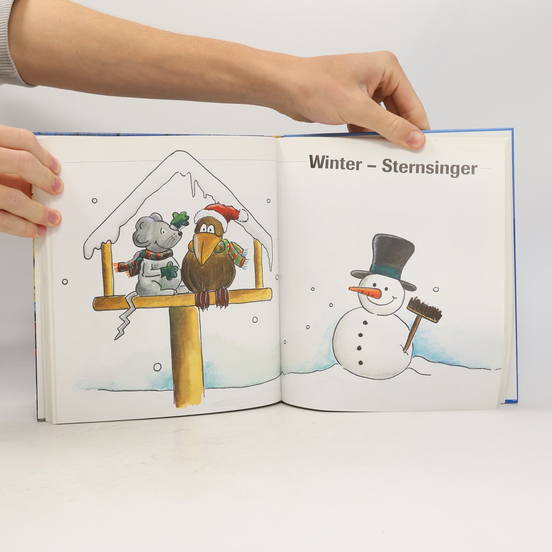 Siegmund Helms Das grosse Buch der Kinderlieder