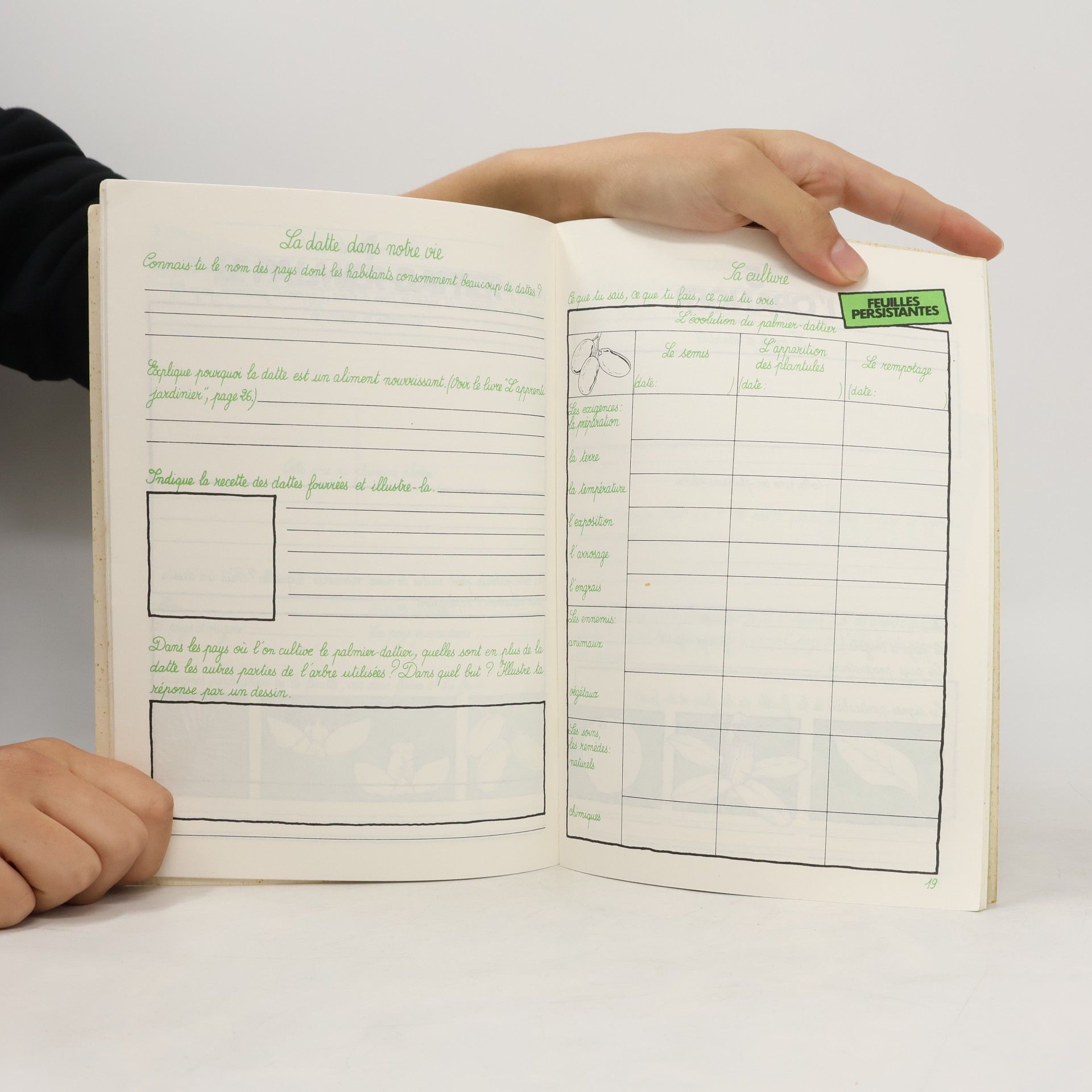 Laure Charlton-Sauvade Le cahier d'observation de l'apprenti jardinier