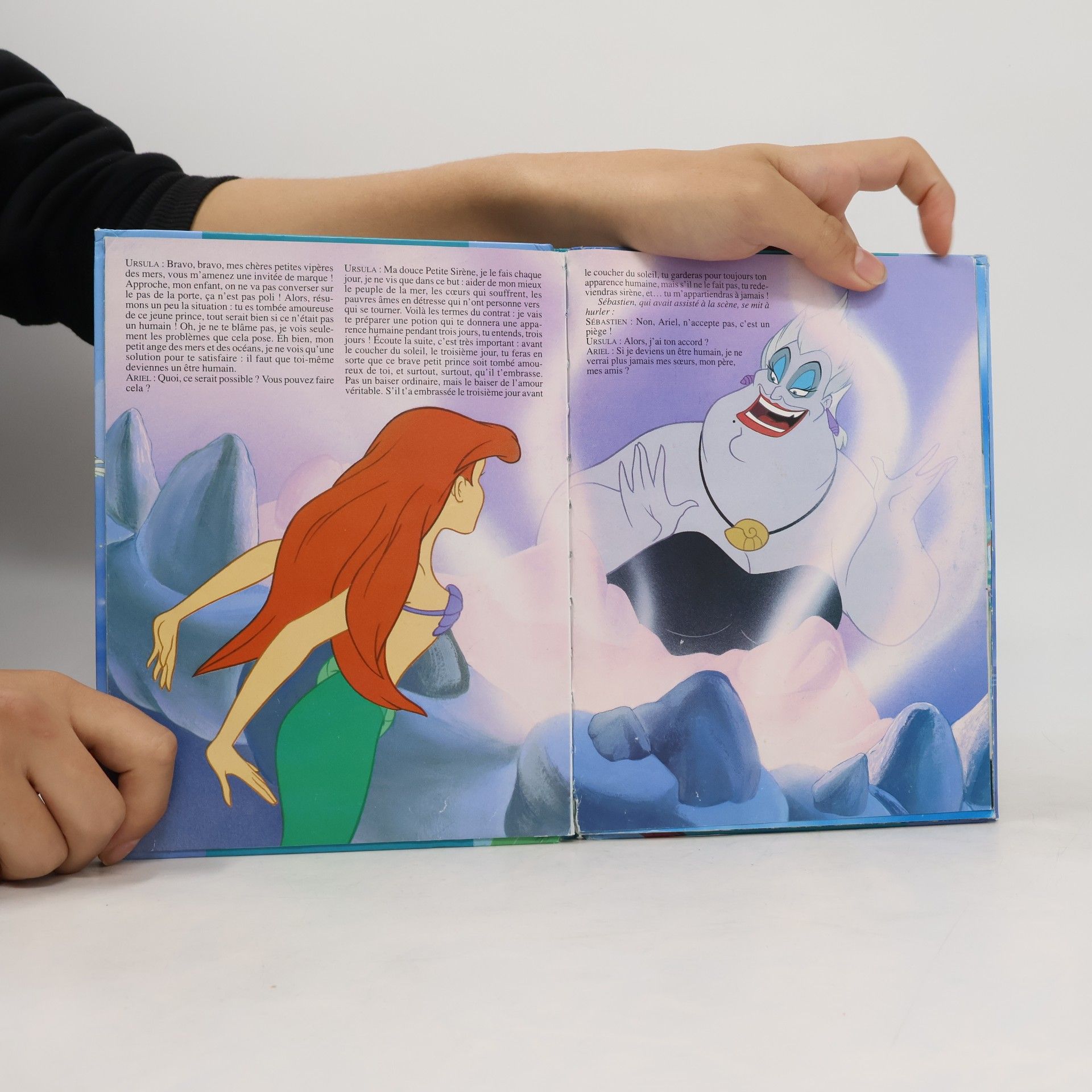 Autorenkollektiv La petite Sirène