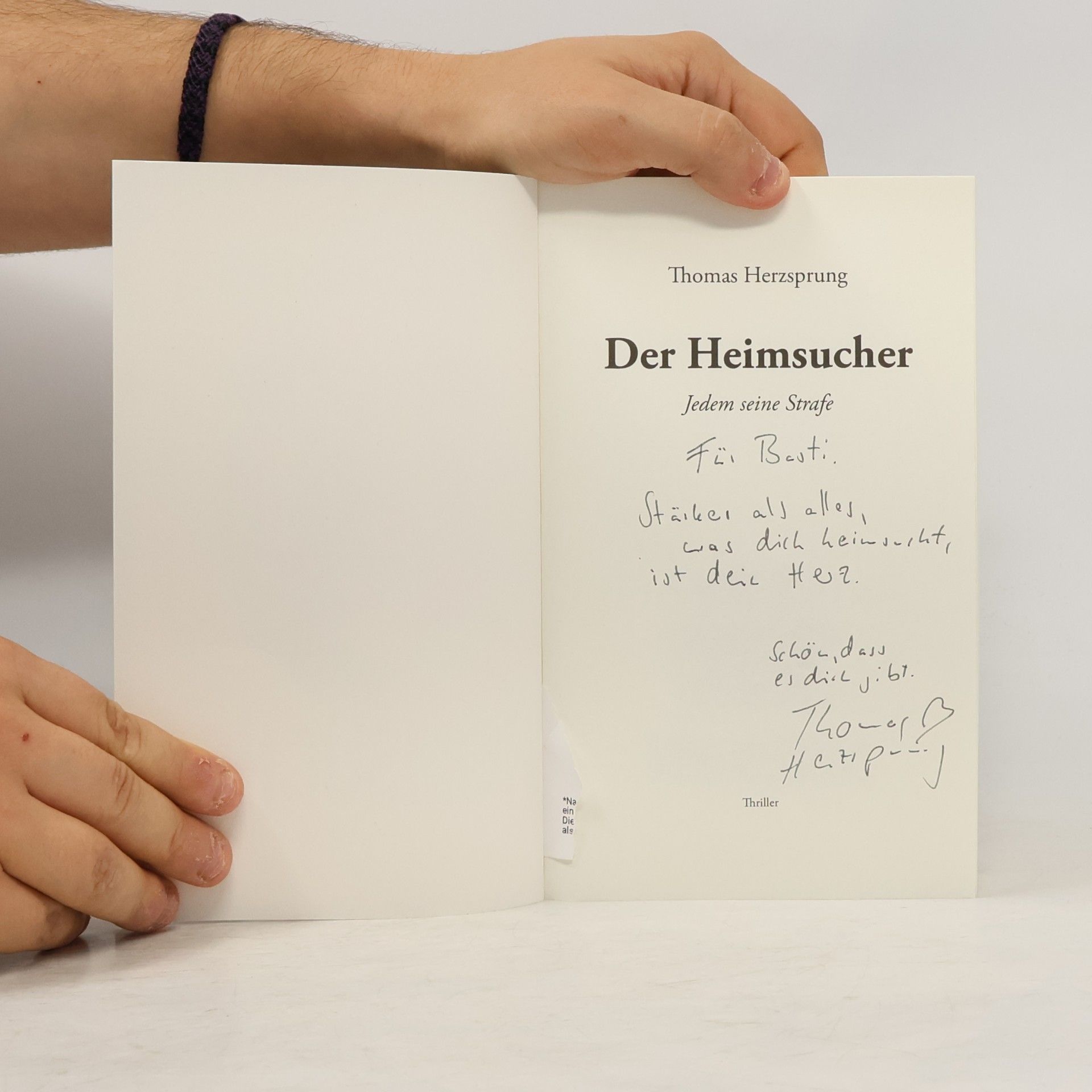 Thomas Herzsprung Der Heimsucher - Jedem seine Strafe
