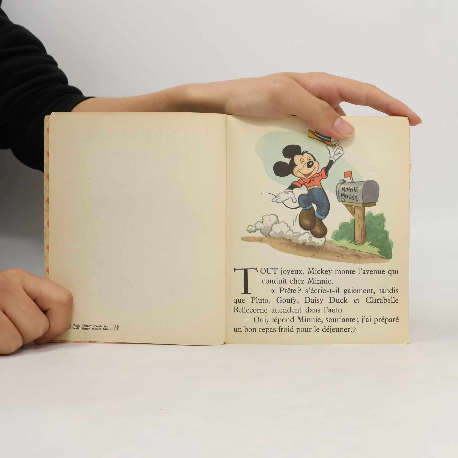 Autorenkollektiv Le pique-nique de Mickey