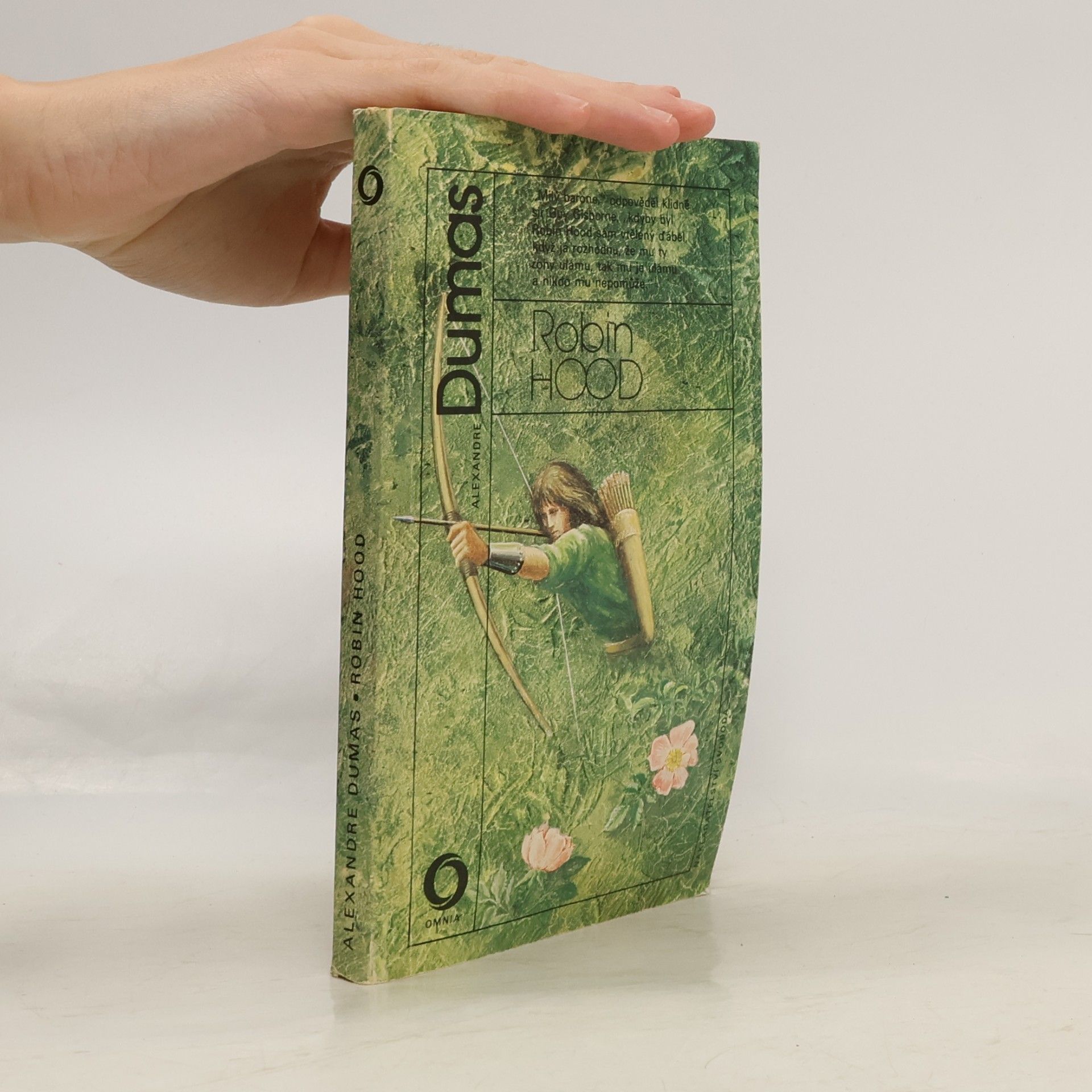 Alexandre Dumas Robin Hood