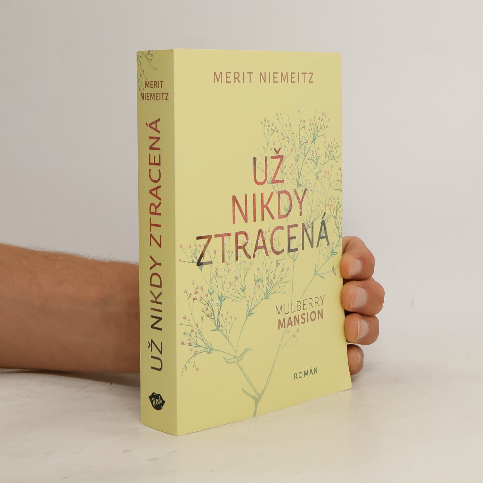Merit Niemeitz Už nikdy ztracená