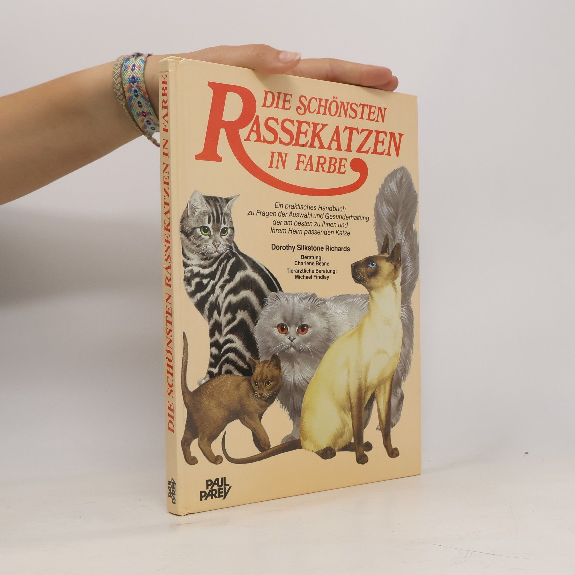 Die schönsten Rassekatzen in Farbe