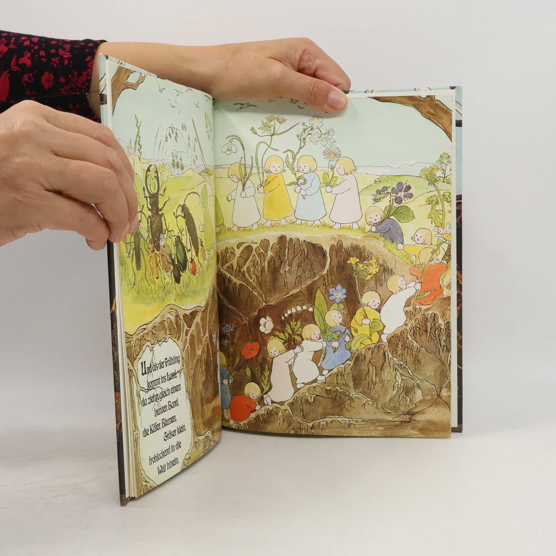 Sibylle von Olfers Etwas von den Wurzelkindern