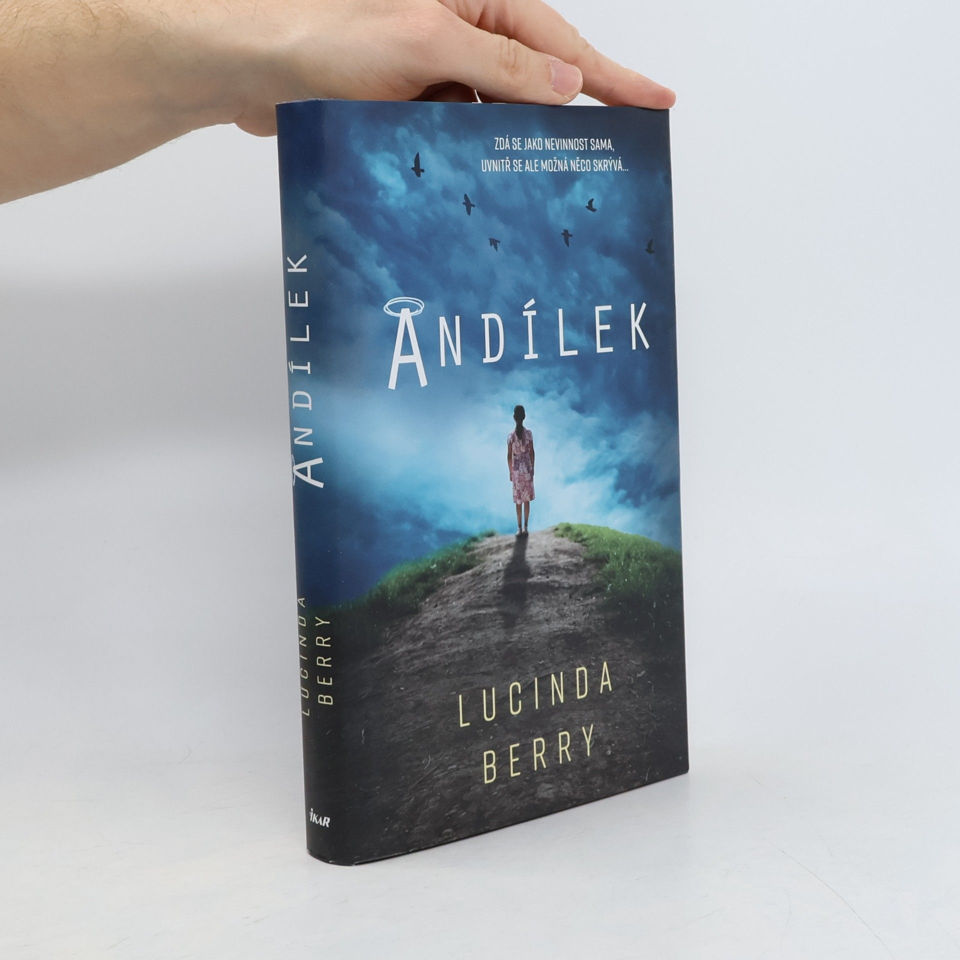 Lucinda Berry Andílek