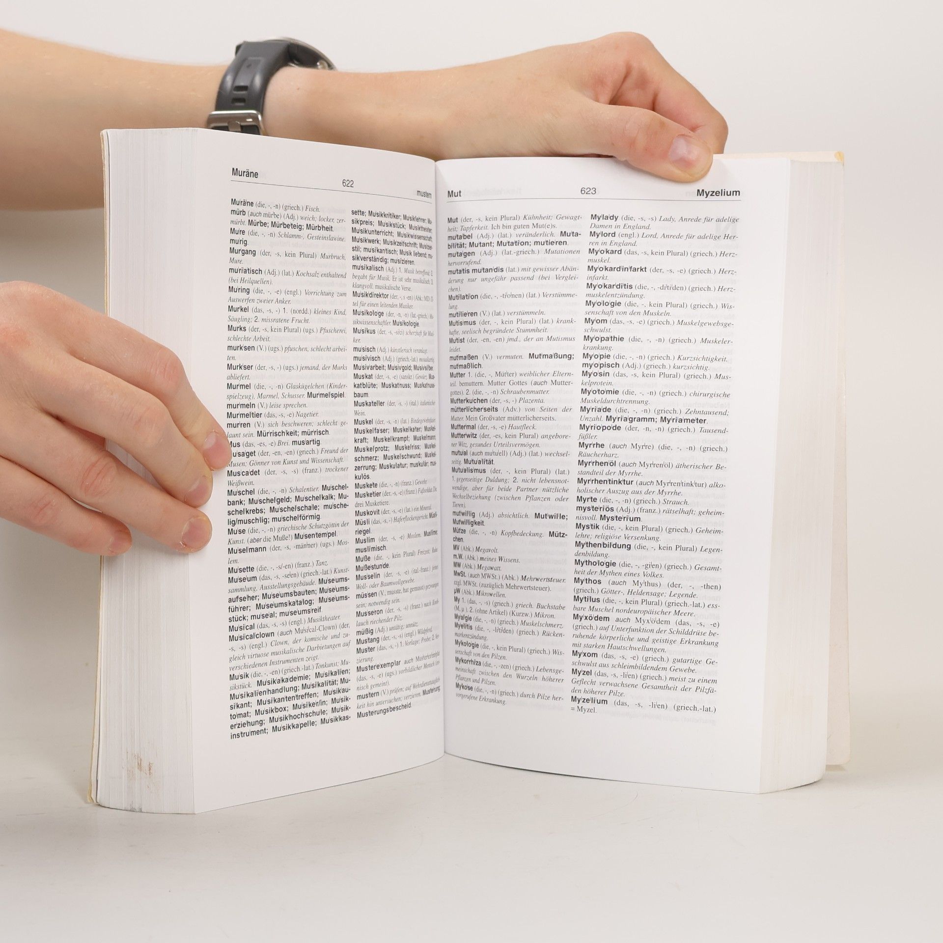 Ilse Hell Grosswörterbuch neue deutsche Rechtschreibung