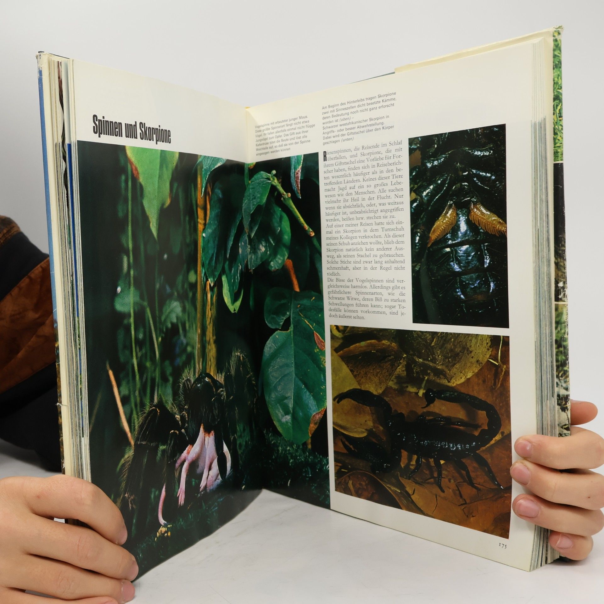 Karl-Erich Graebner Natur. Reich der tausend Wunder