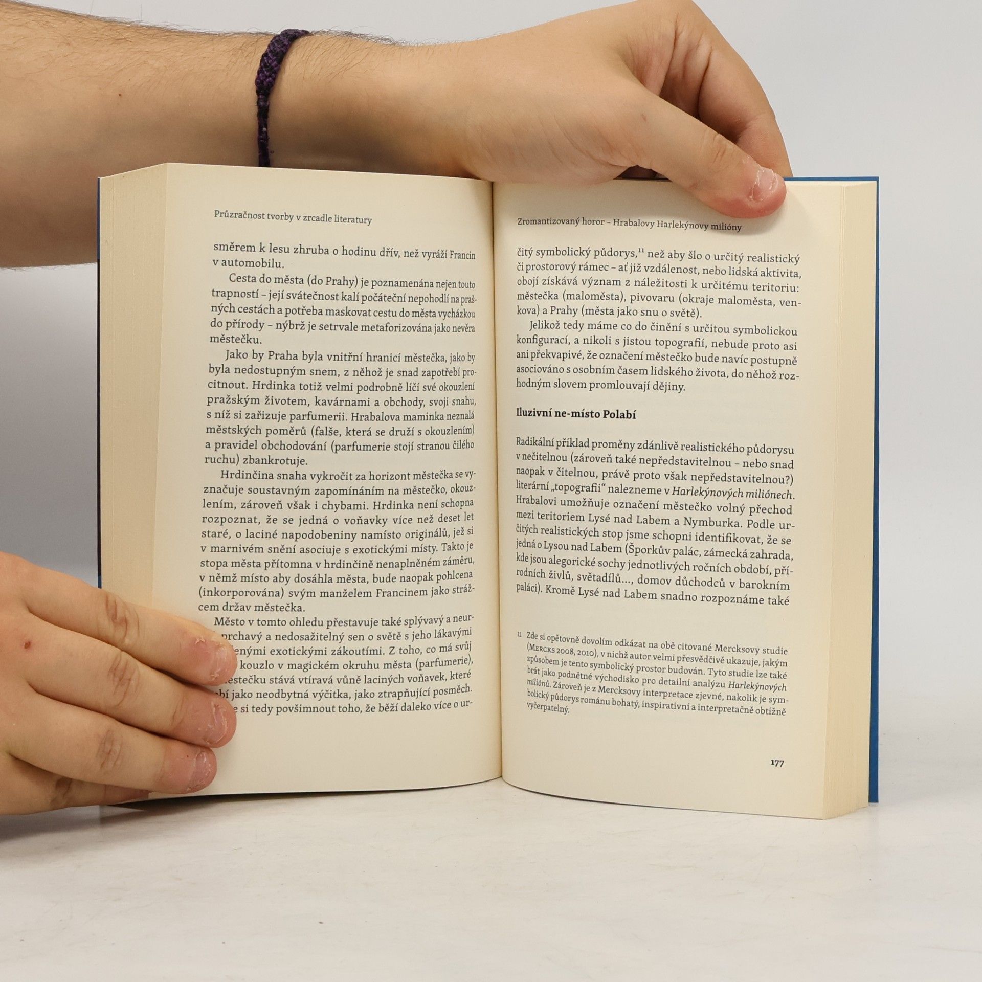 Jakub Češka Průzračnost tvorby v zrcadle literatury