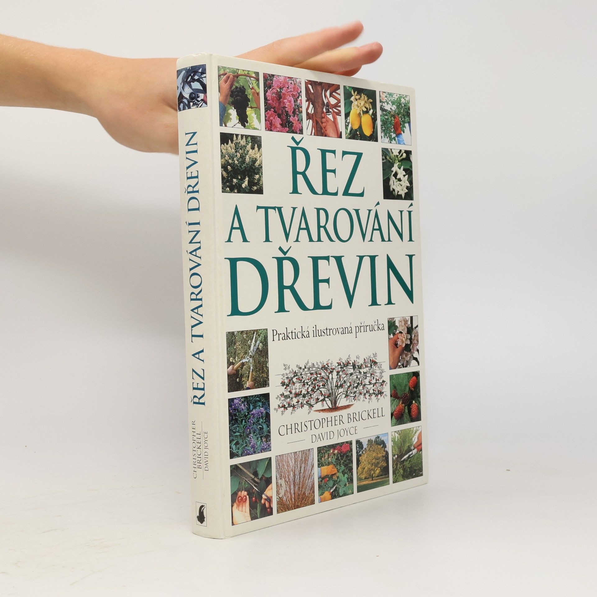 Řez a tvarování dřevin