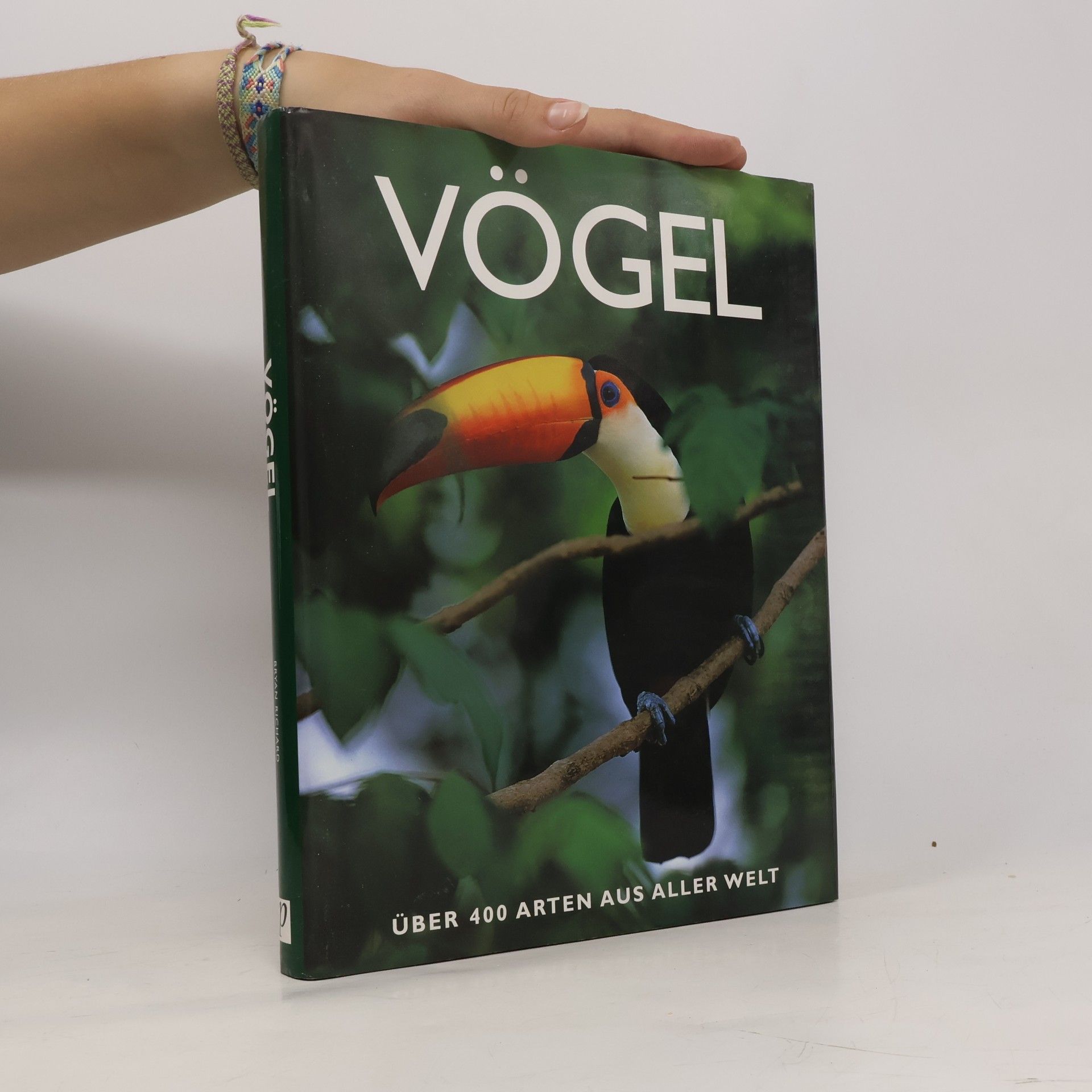 Vögel