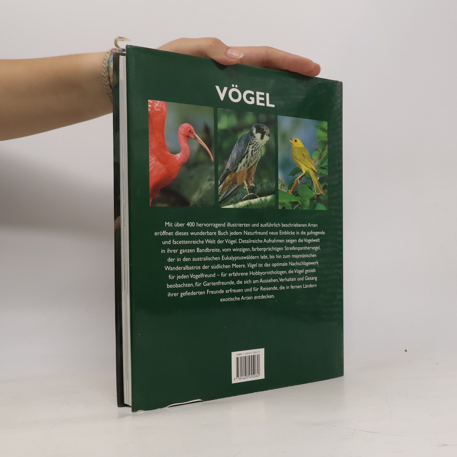 Eva Dempewolf Vögel