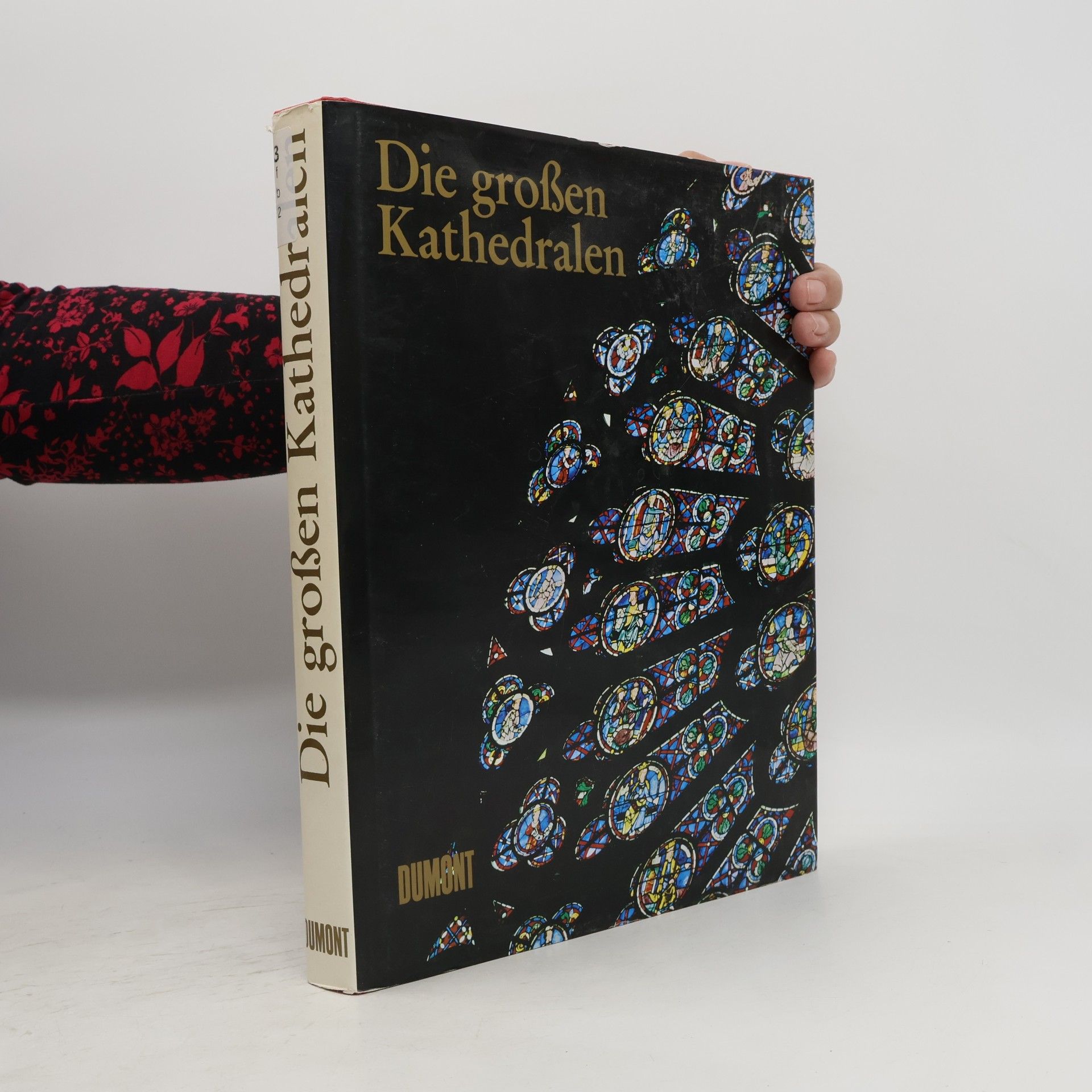 Wim Swaan Die Grossen Kathedralen