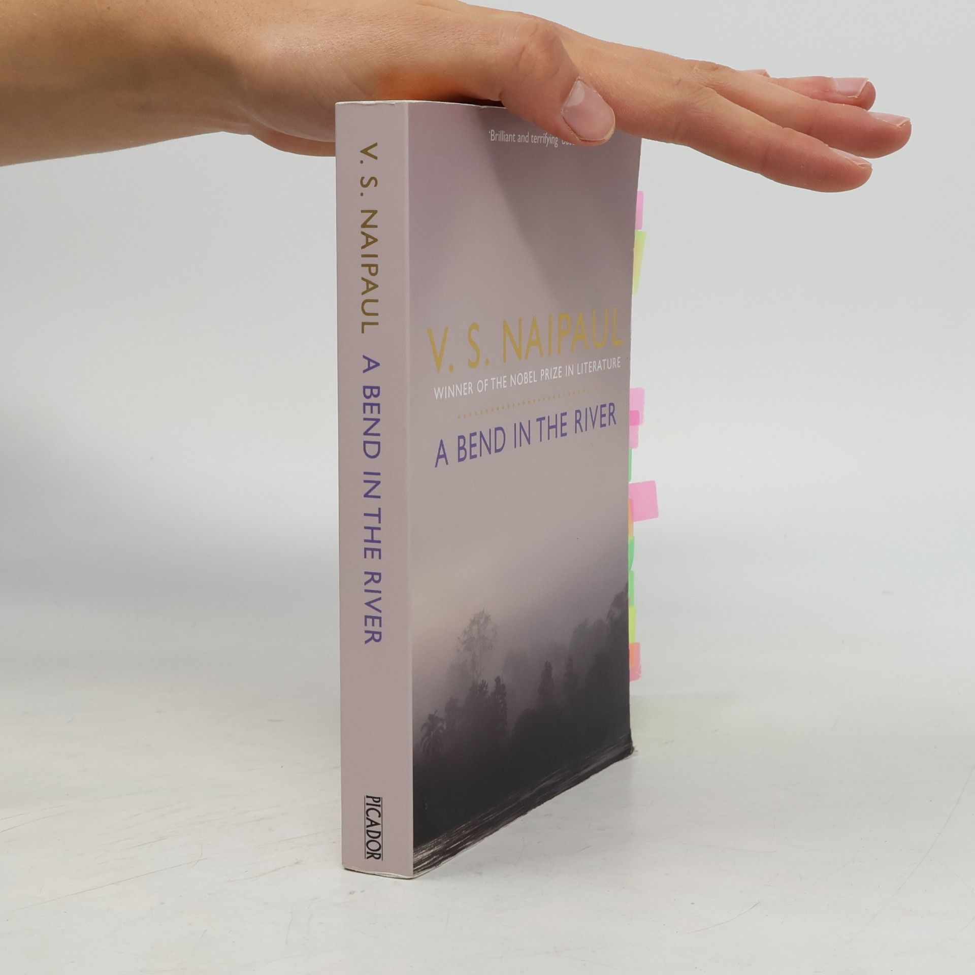 V. S. Naipaul A Bend in the River
