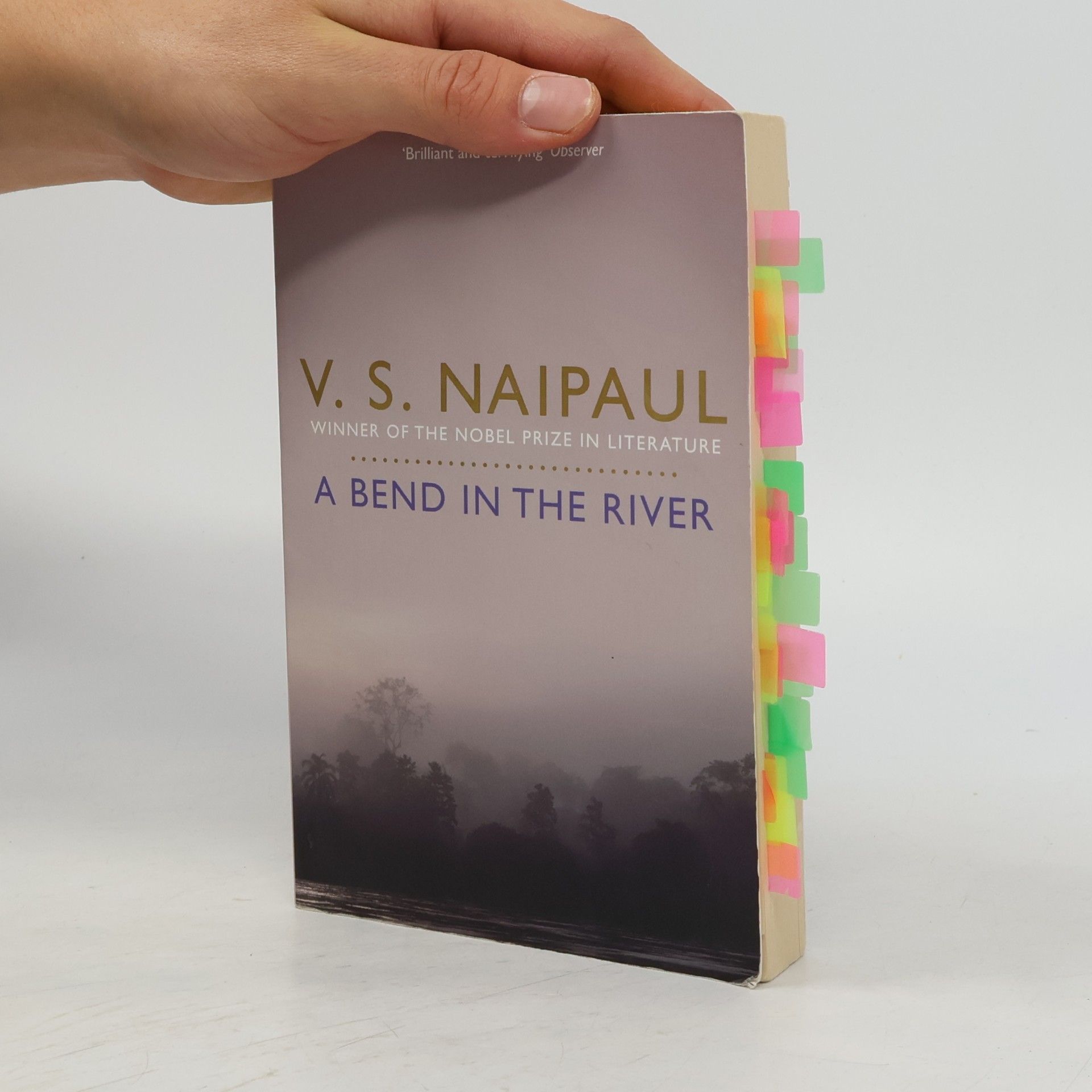 V. S. Naipaul A Bend in the River