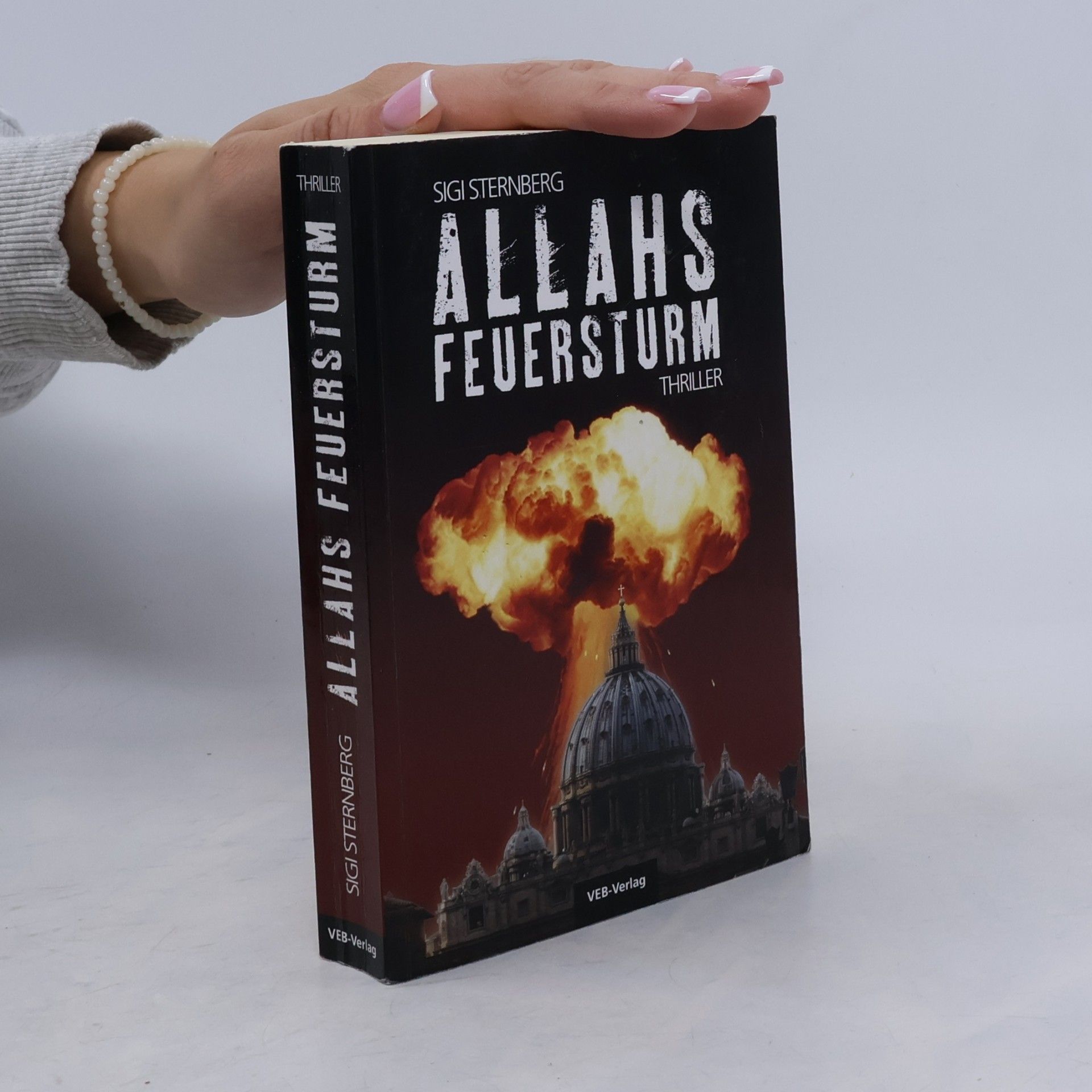 Sigi Sternberg Allahs Feuersturm