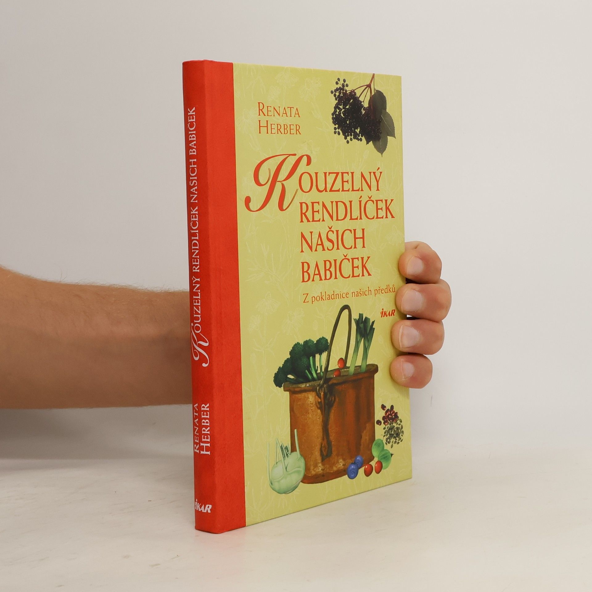 Kouzelný rendlíček našich babiček : z pokladnice našich předků