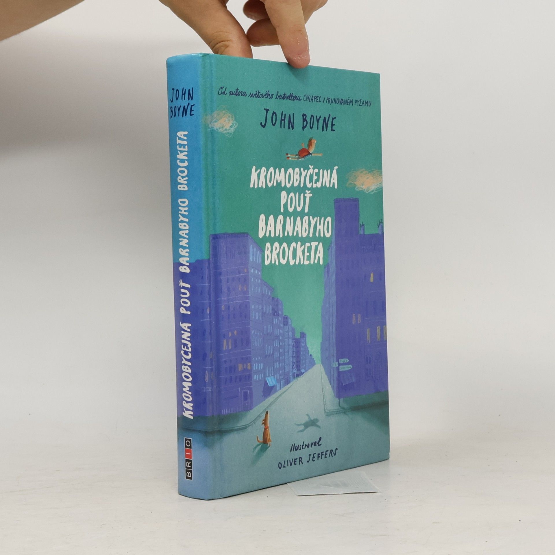 John Boyne Kromobyčejná pouť Barnabyho Brocketa