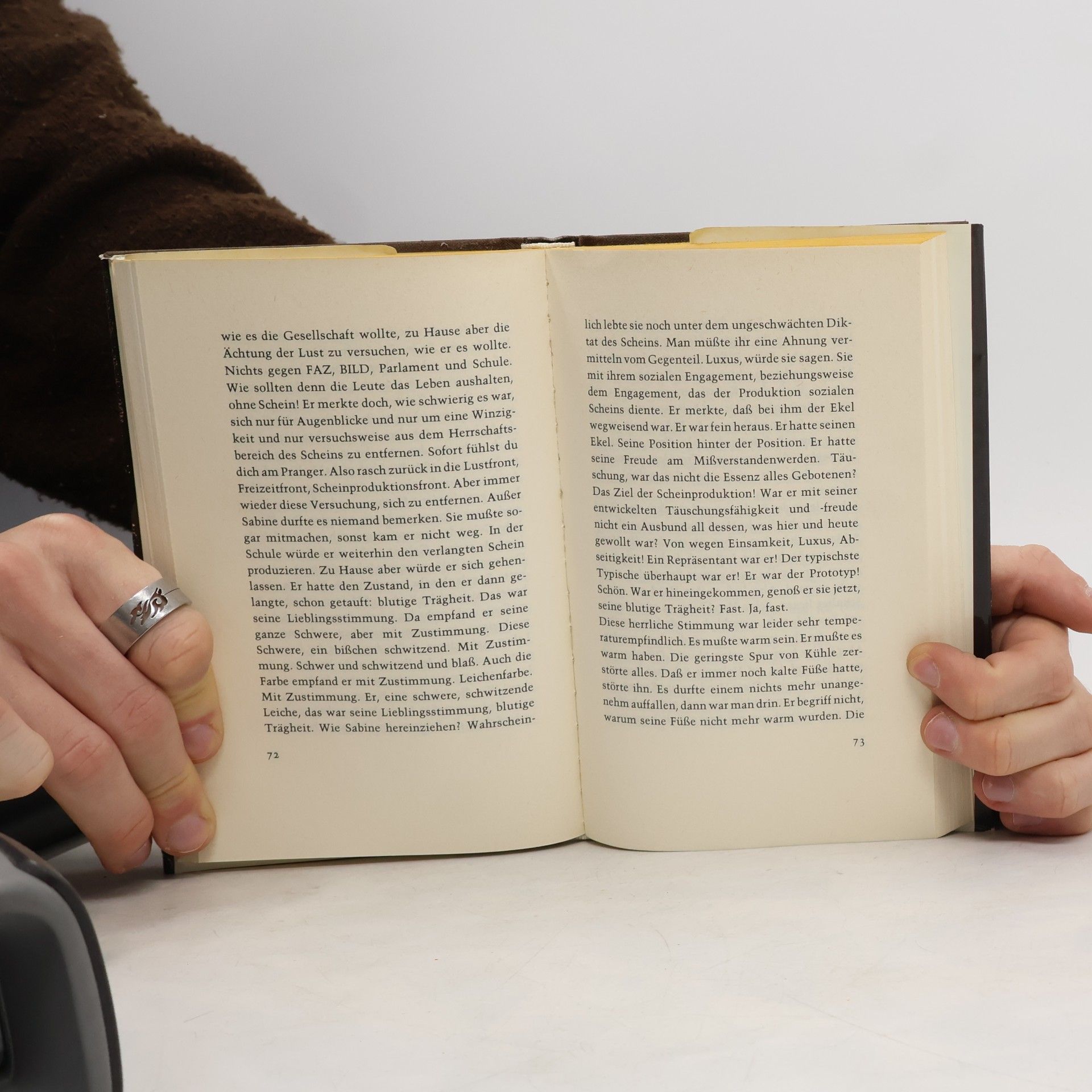 Martin Walser Ein fliehendes Pferd