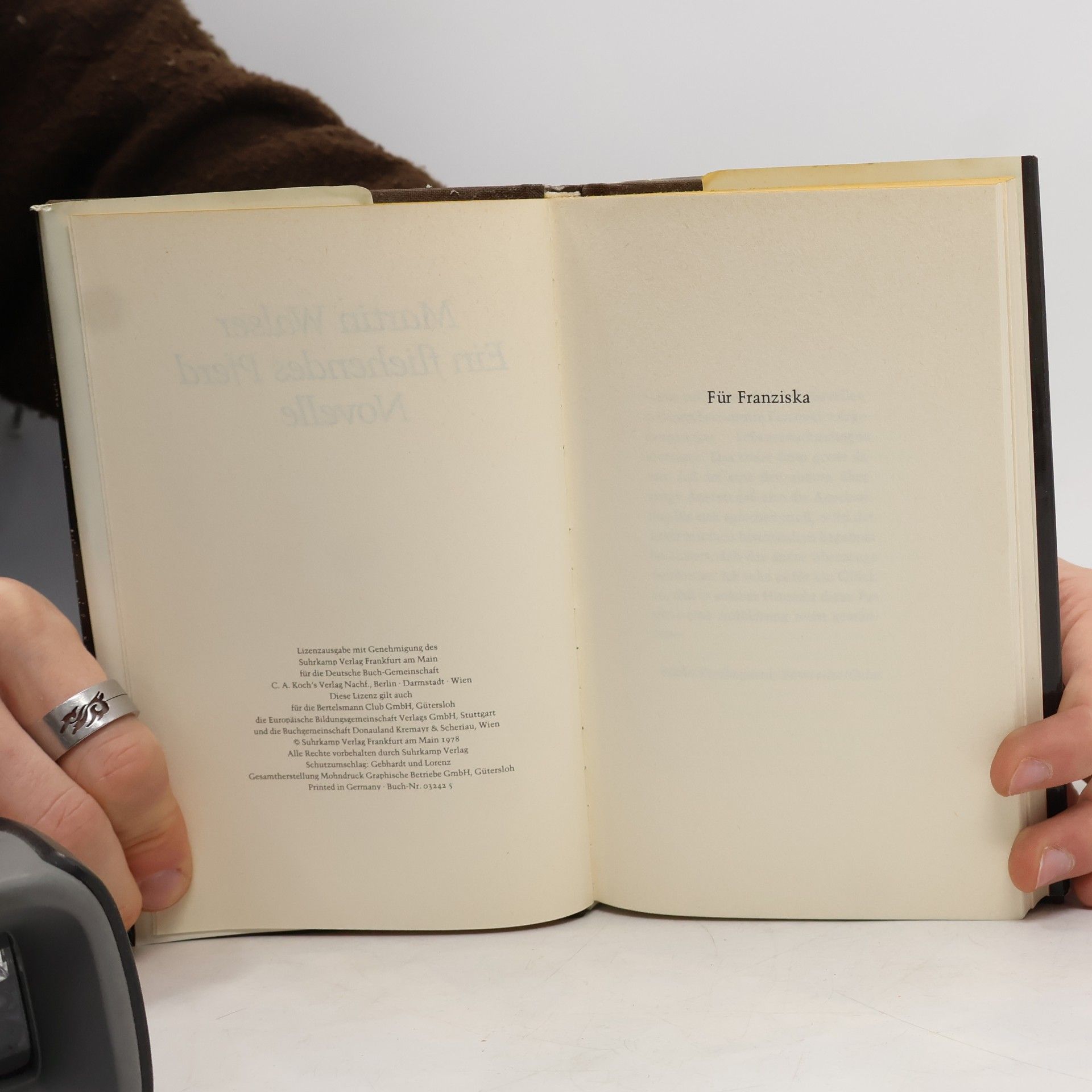 Martin Walser Ein fliehendes Pferd