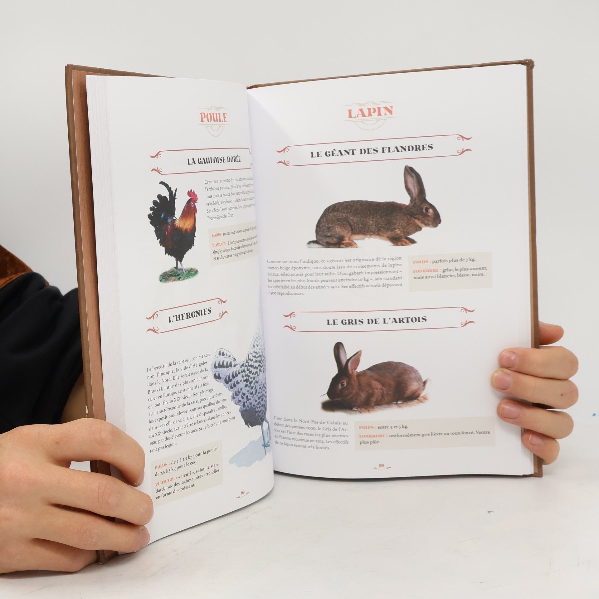 Jean Paul Viart Encyclopédie des animaux de nos régions