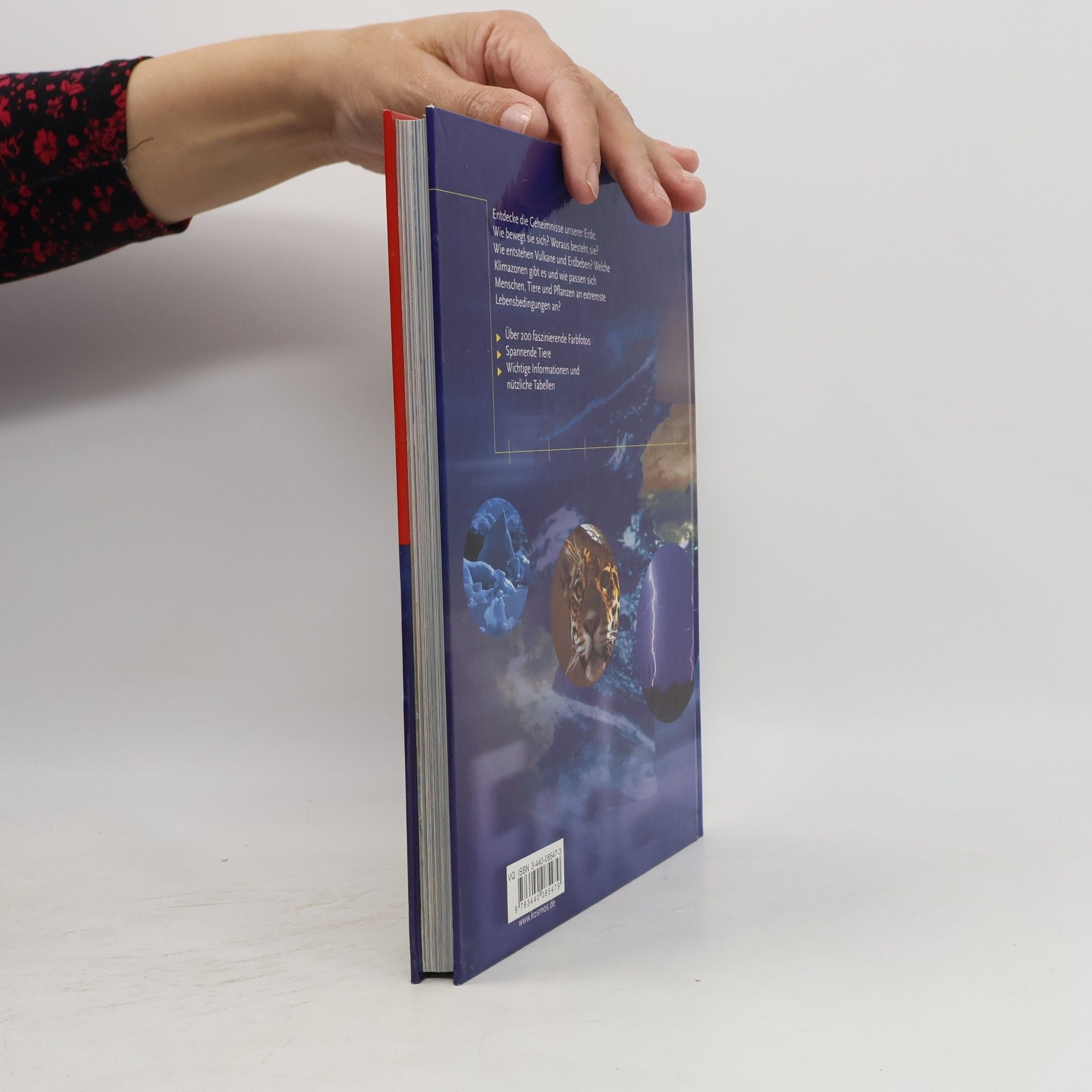 Anna Claybourne Das Kosmos-Buch der Erde