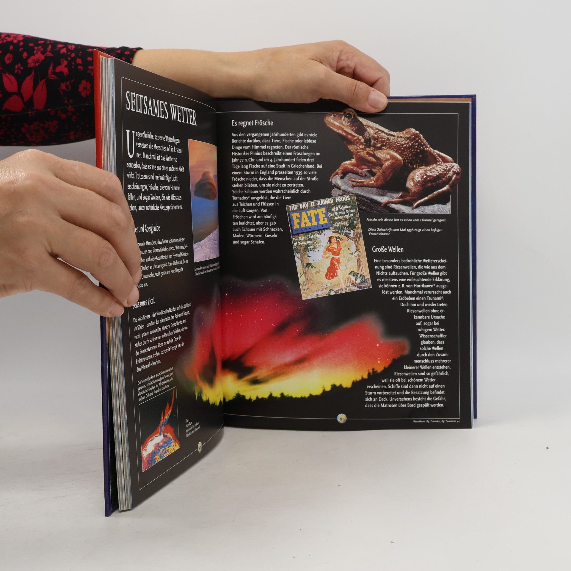 Anna Claybourne Das Kosmos-Buch der Erde