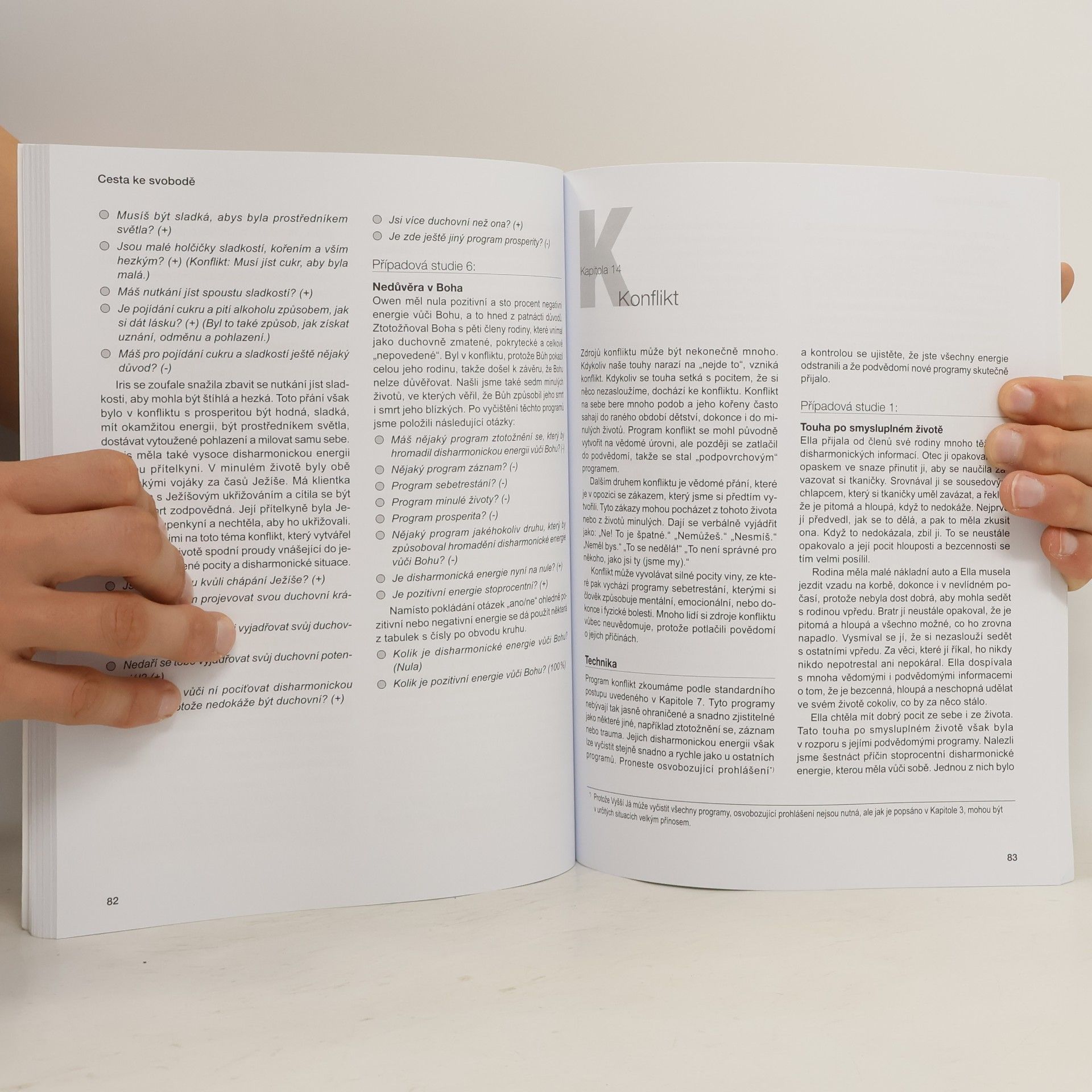 Robert E. Detzler Cesta ke svobodě : vyčištění záznamů vaší duše