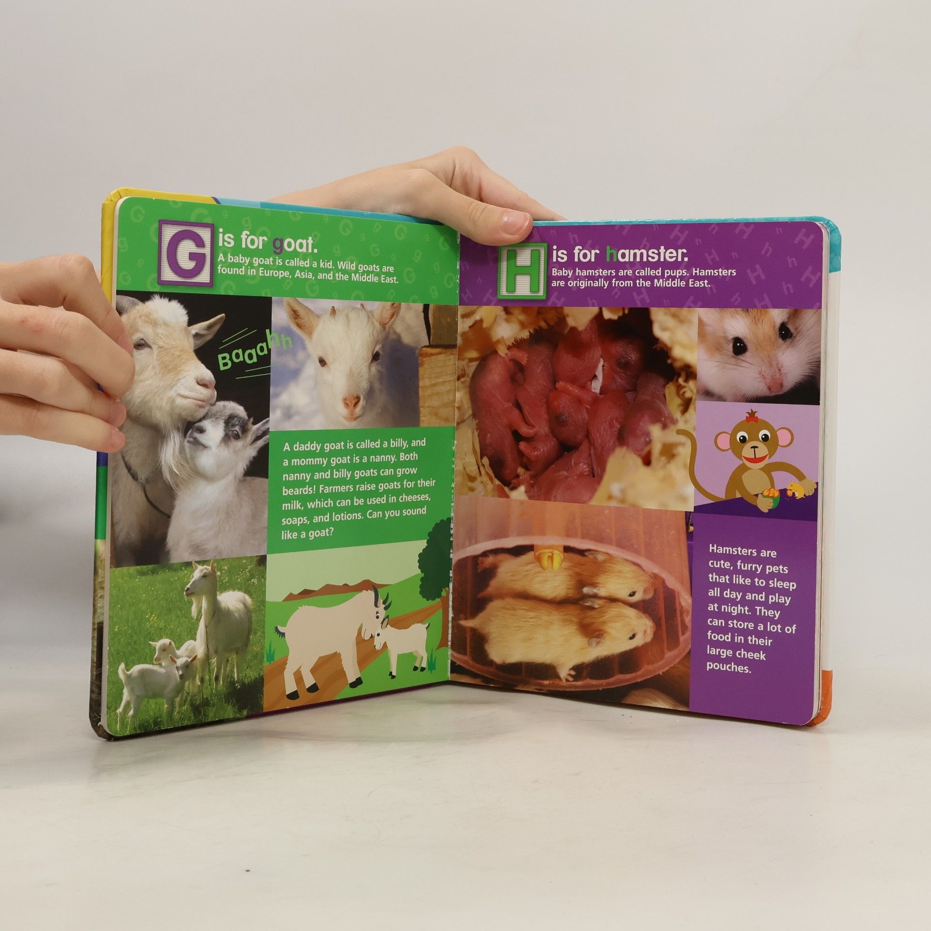 Nadeem Zaidi Baby Einstein - 9: Baby Animals